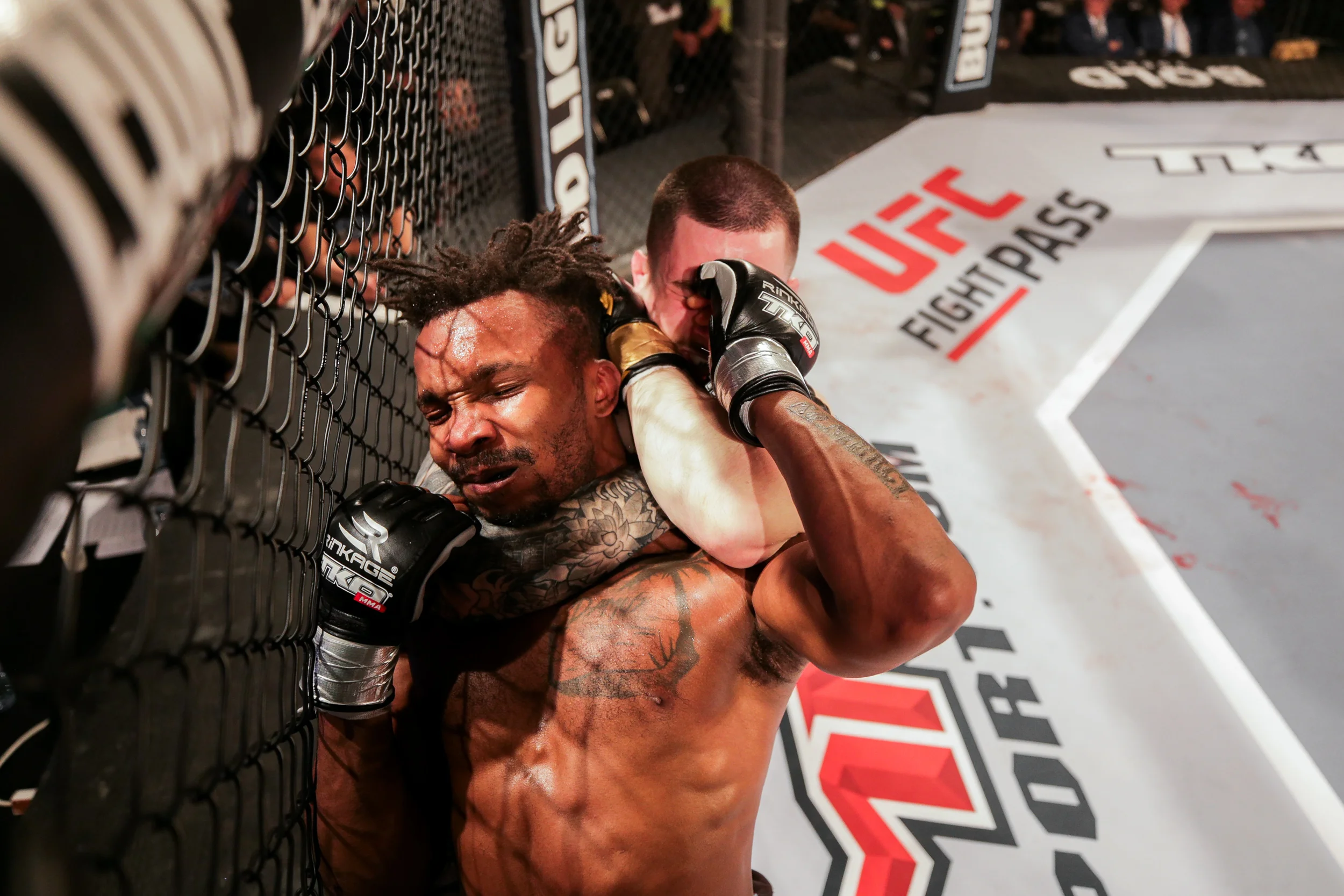 tko47-21.jpg