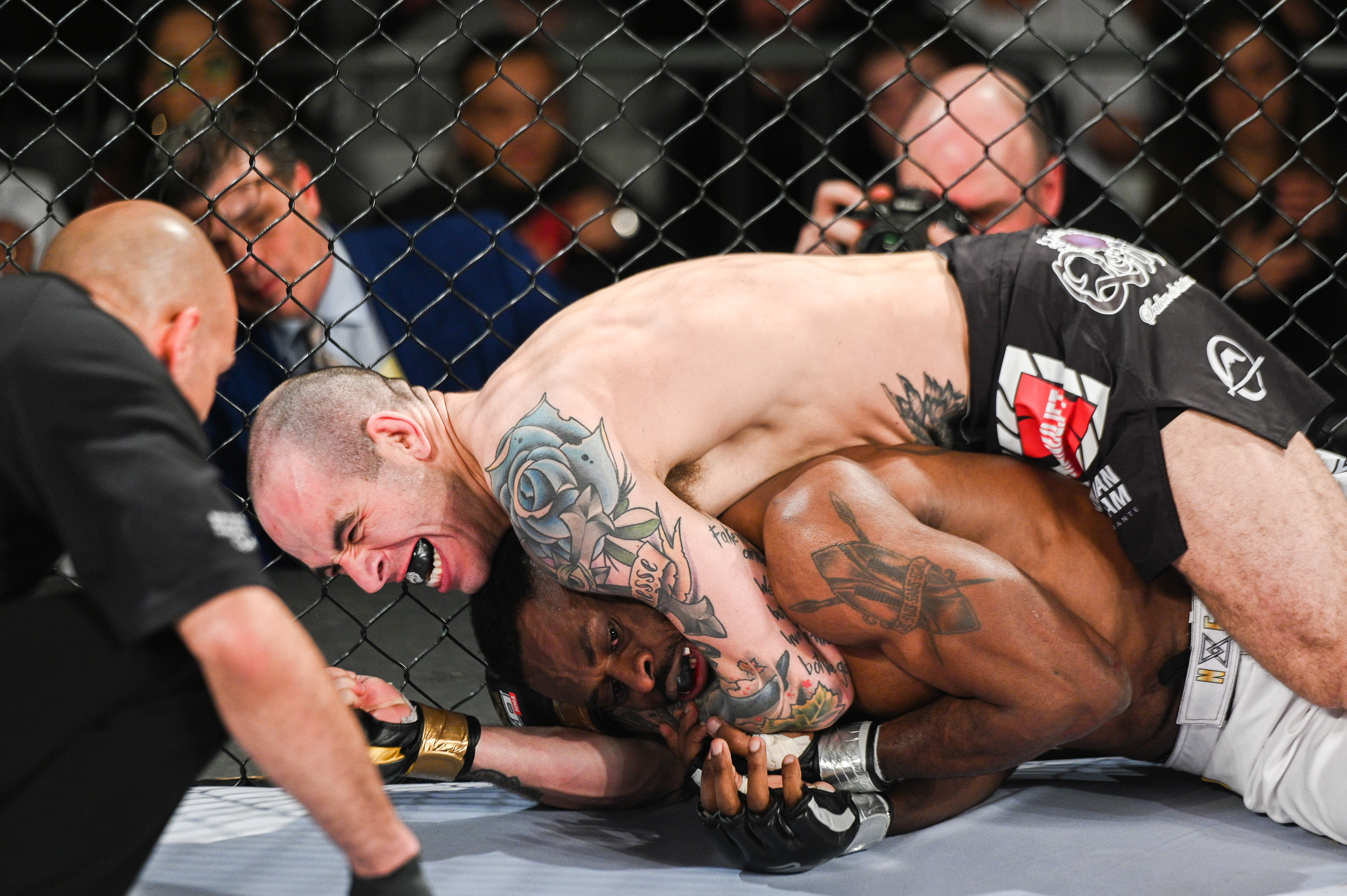 tko47-25.jpg