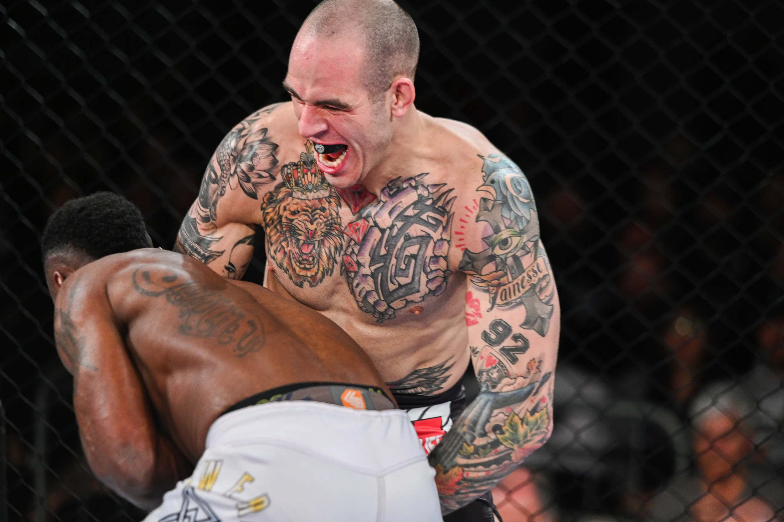 tko47-26.jpg