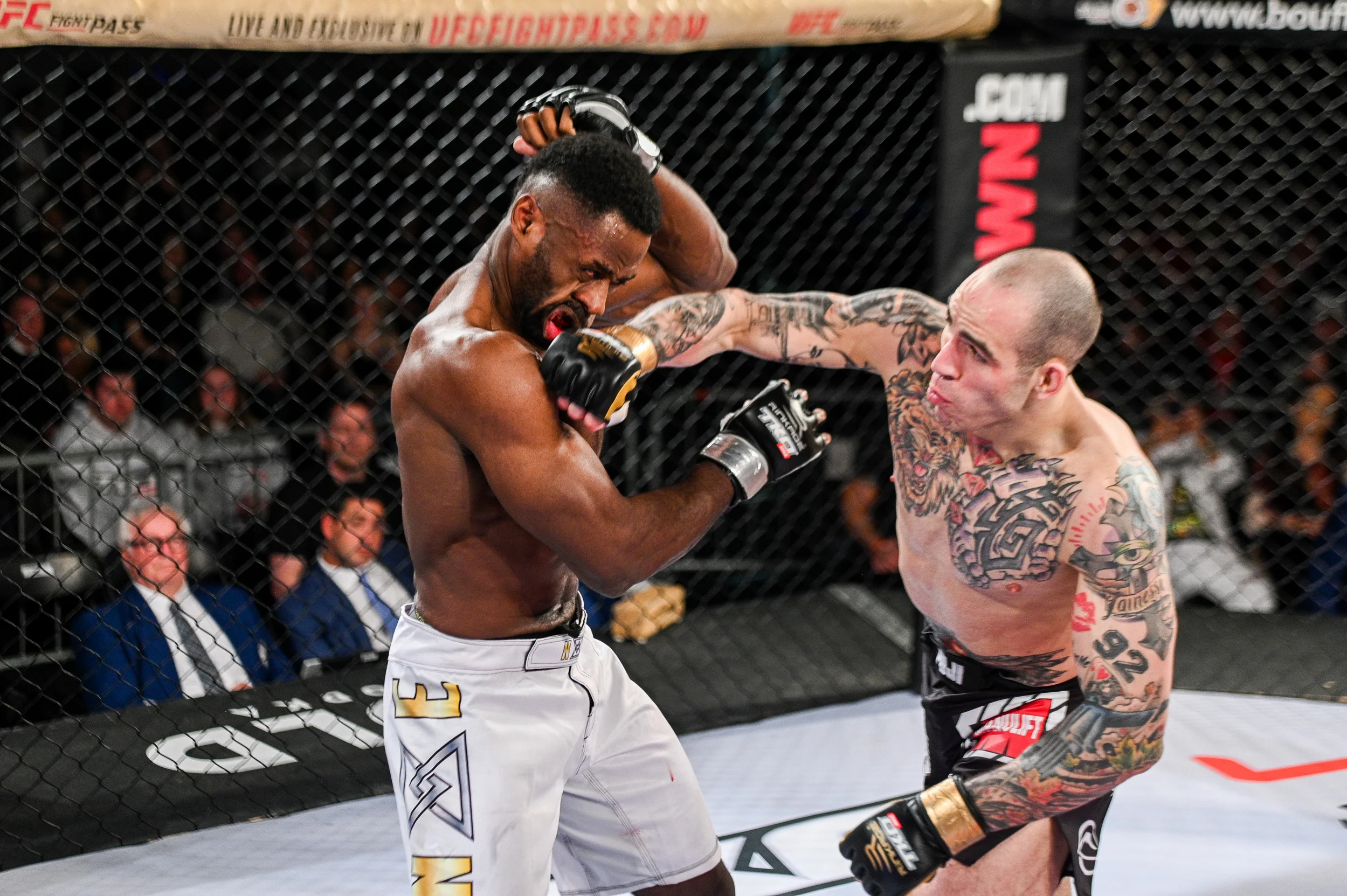 tko47-27.jpg