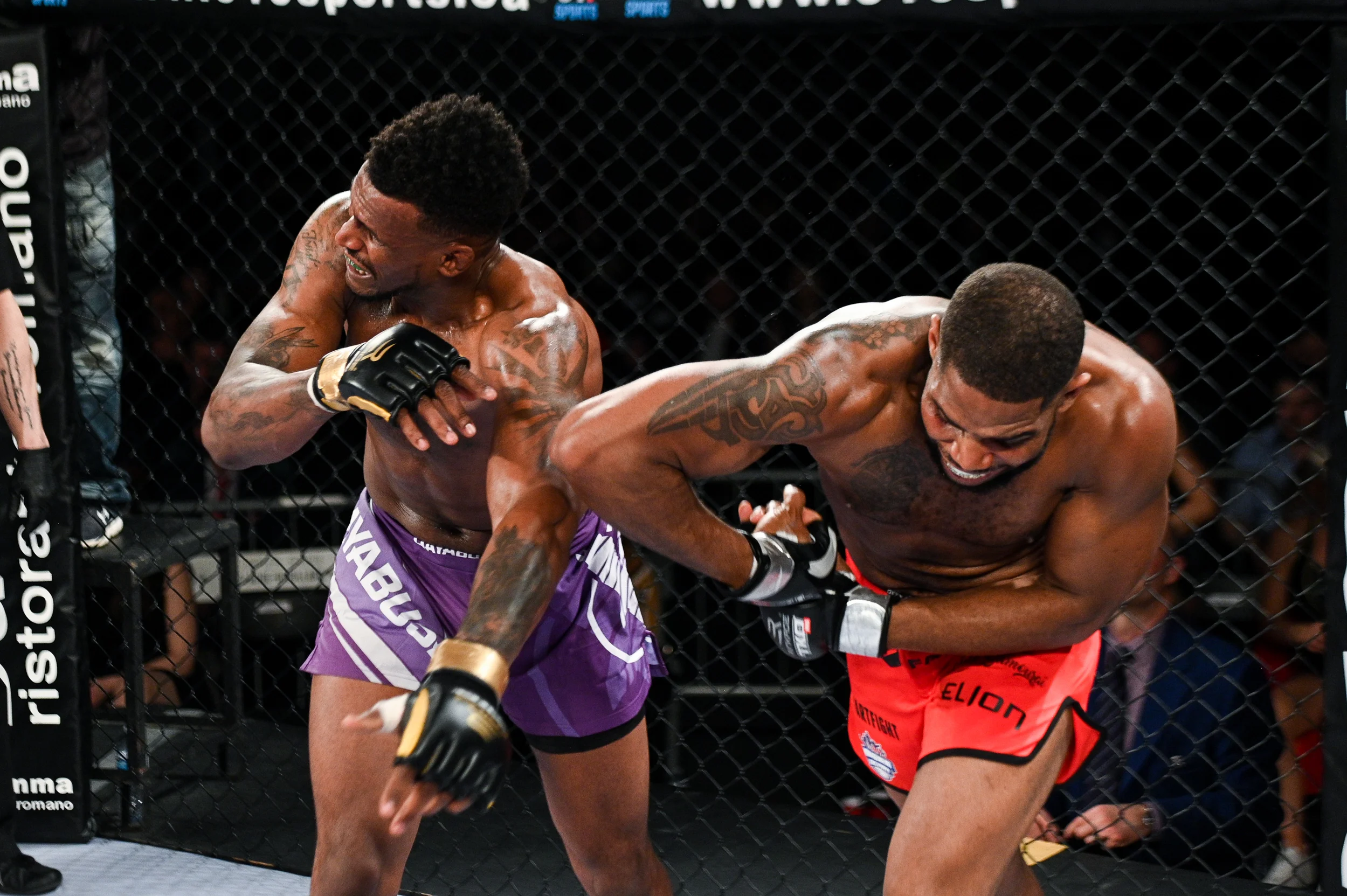 tko47-33.jpg
