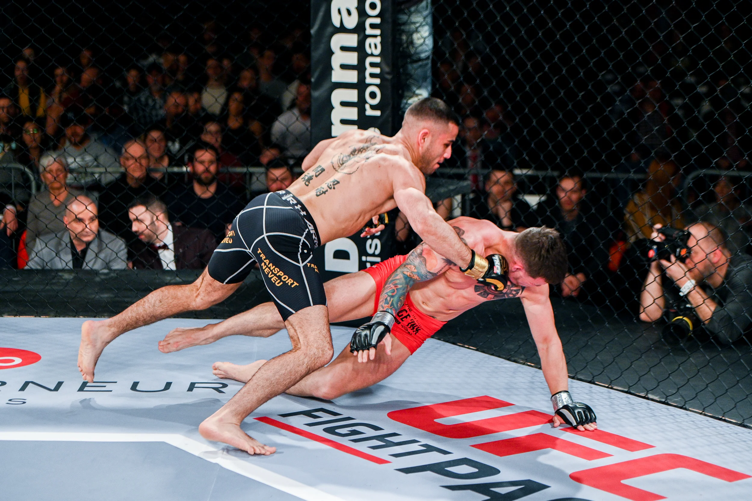 tko47-38.jpg