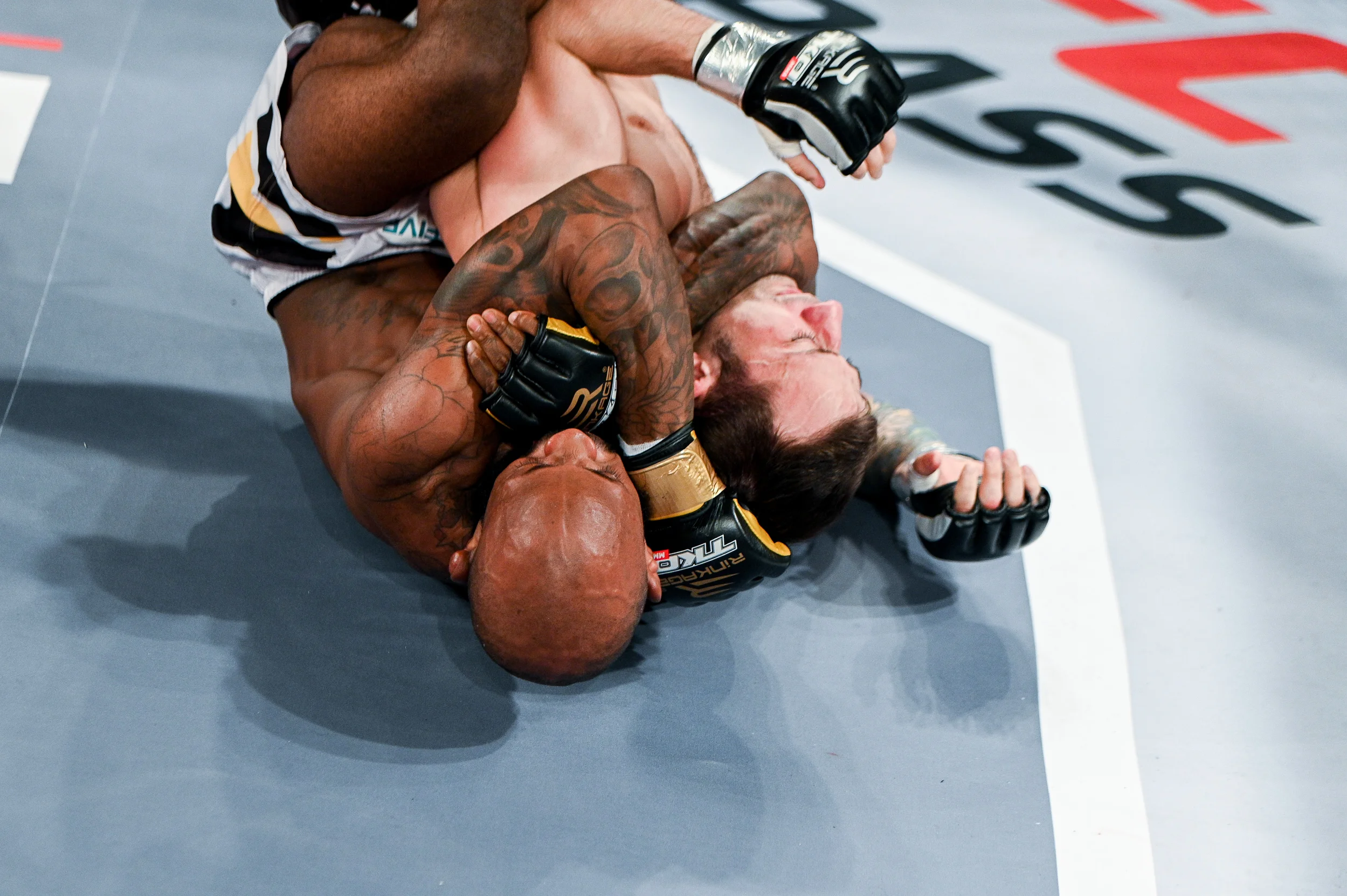 tko47-43.jpg