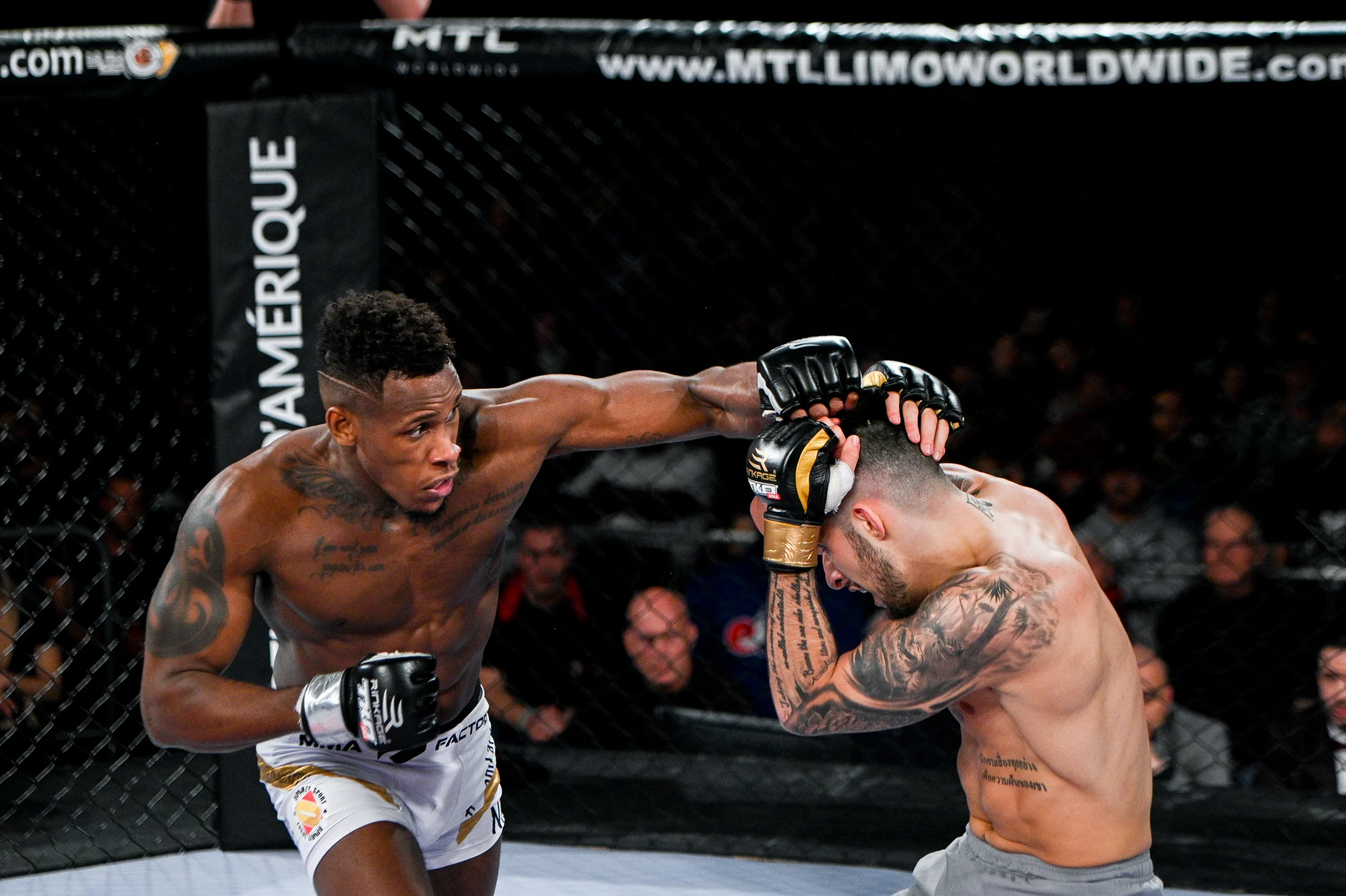 tko47-51.jpg