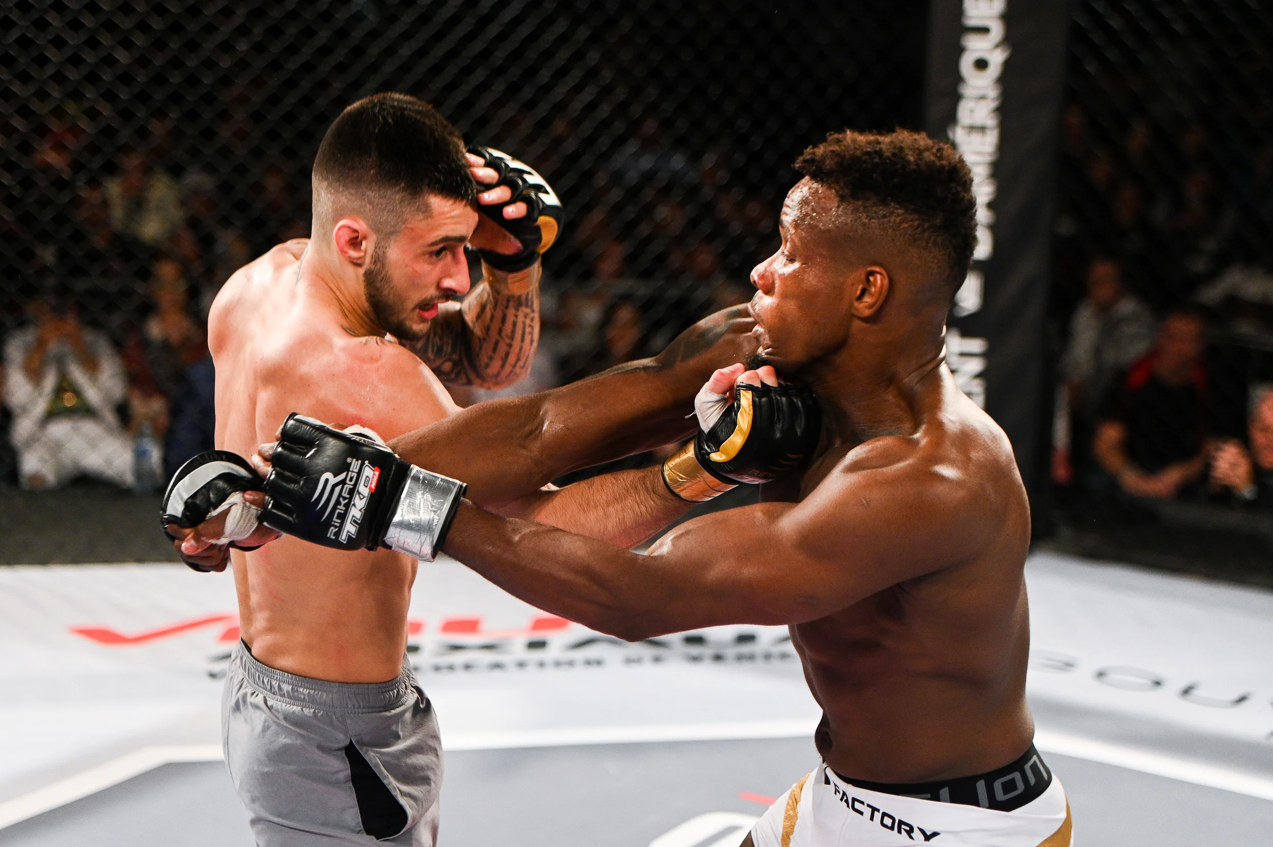 tko47-54.jpg