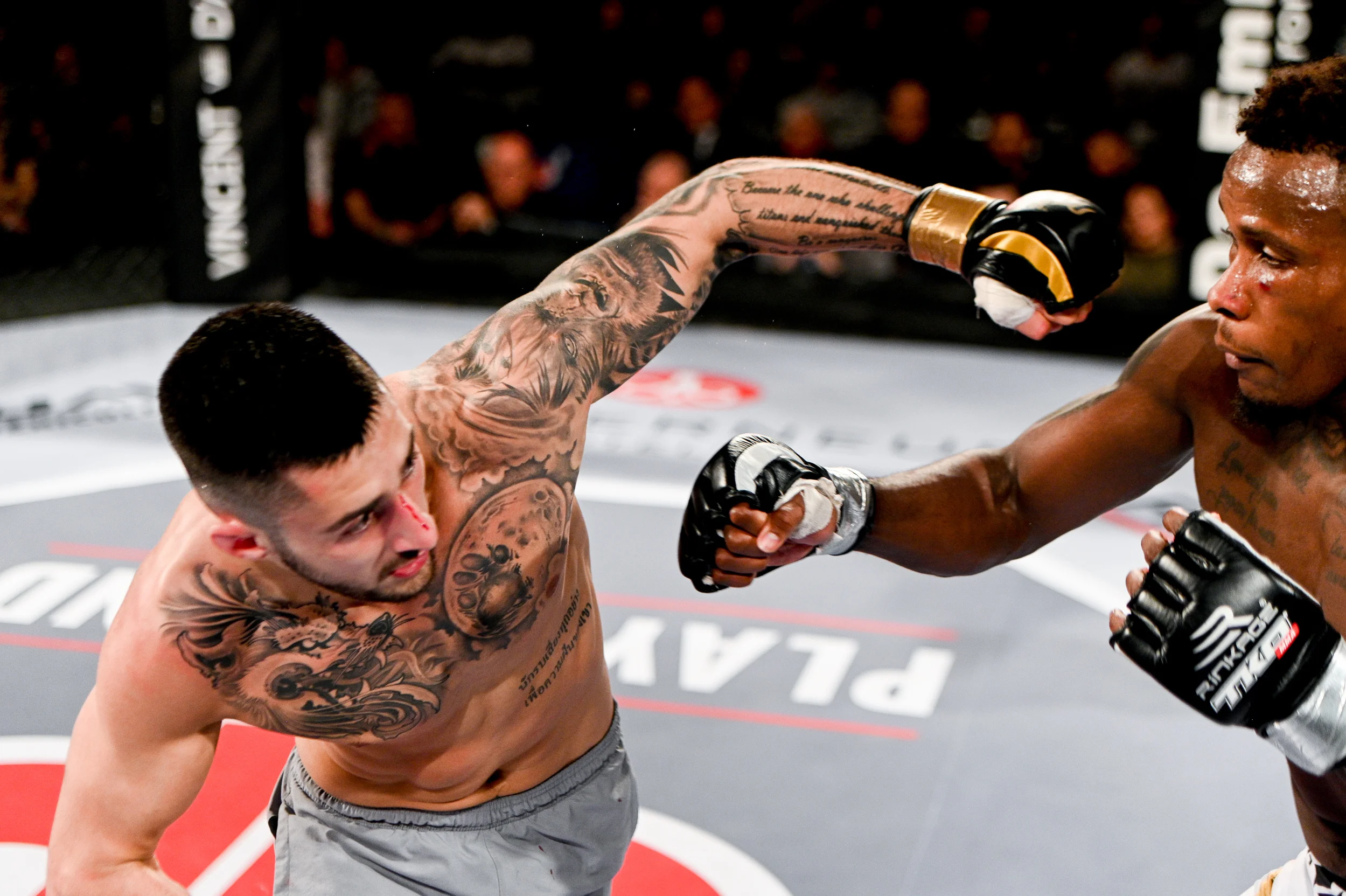 tko47-56.jpg