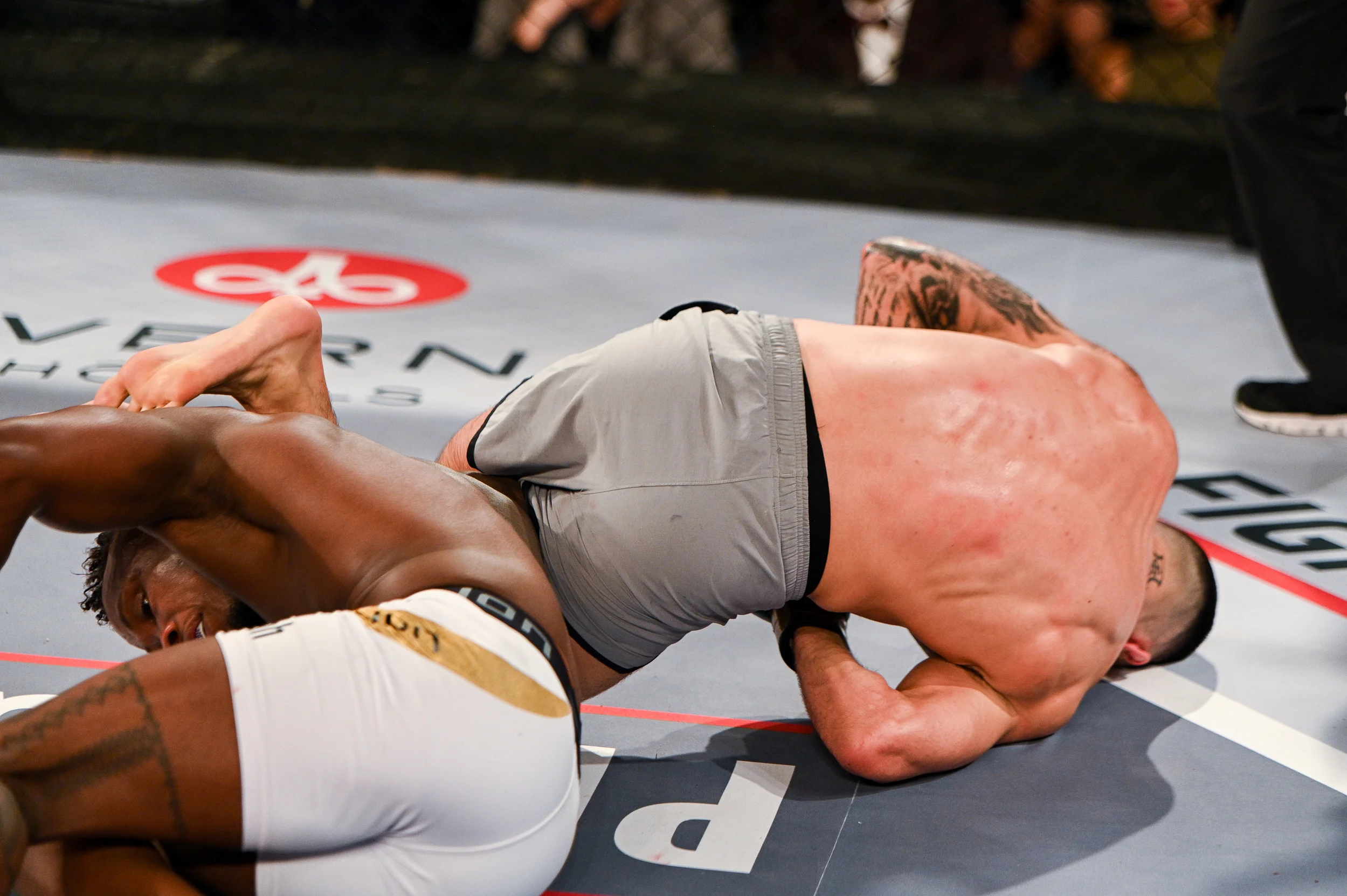 tko47-57.jpg
