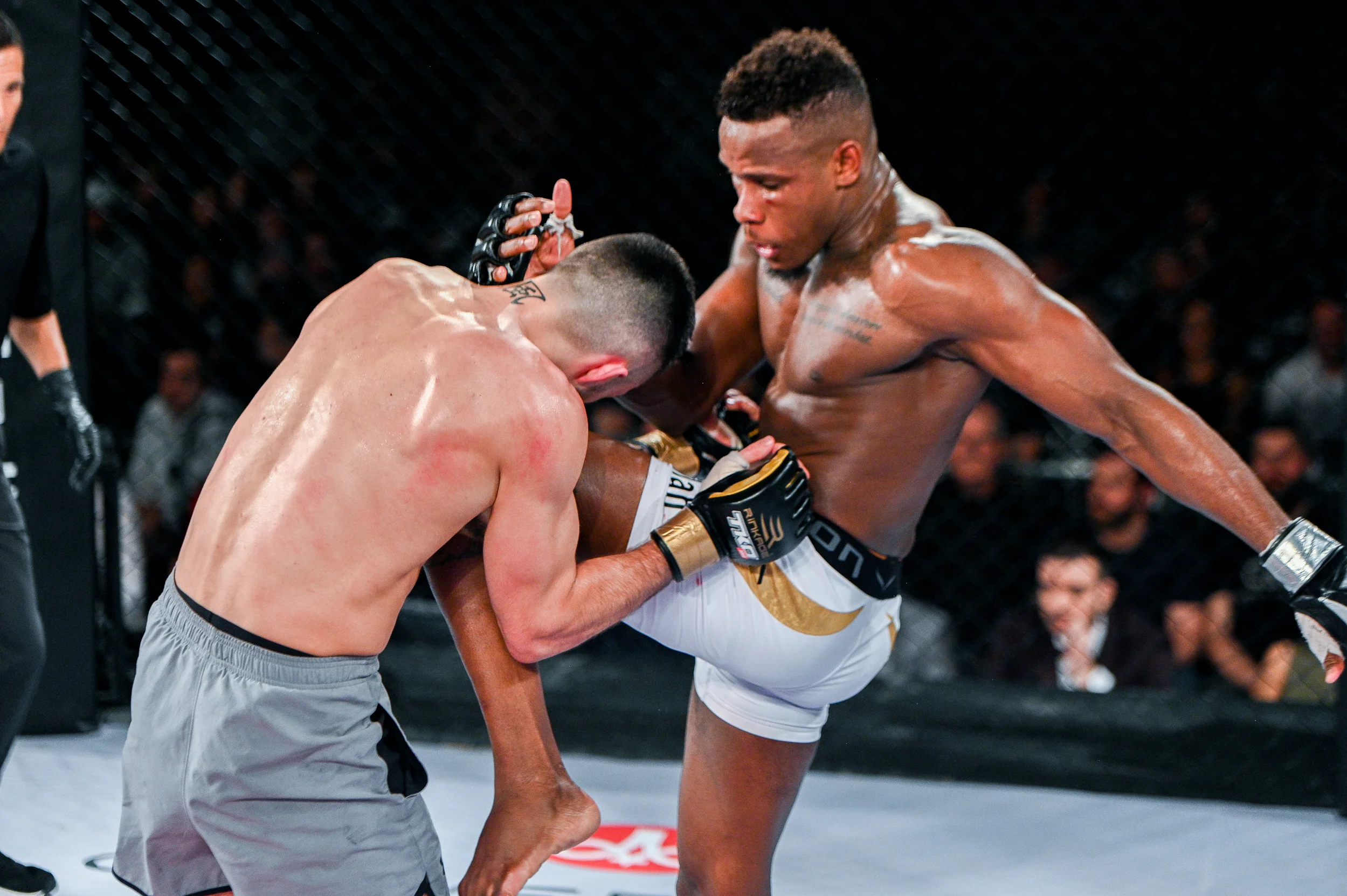 tko47-61.jpg