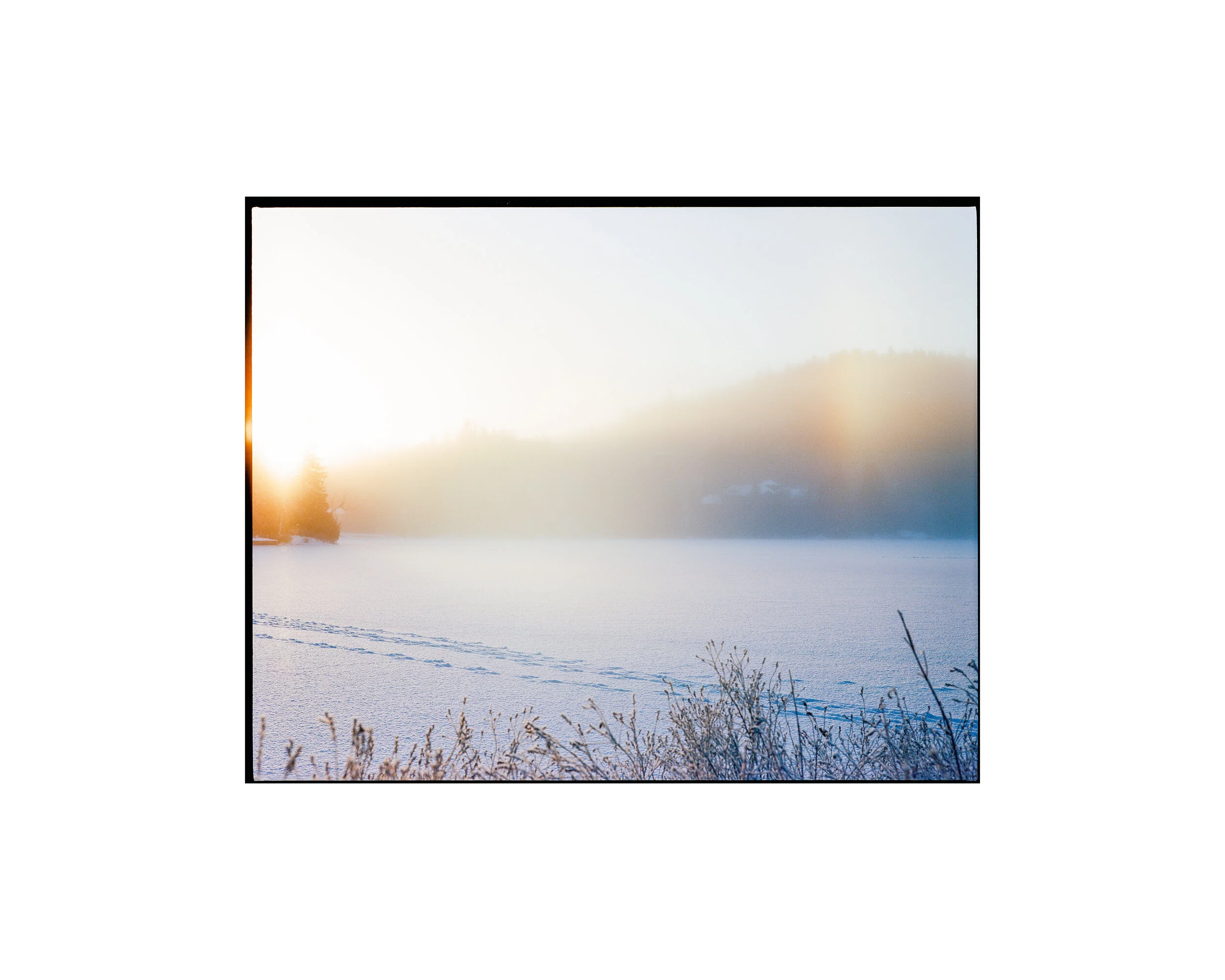 3872-004 - white borders.jpg