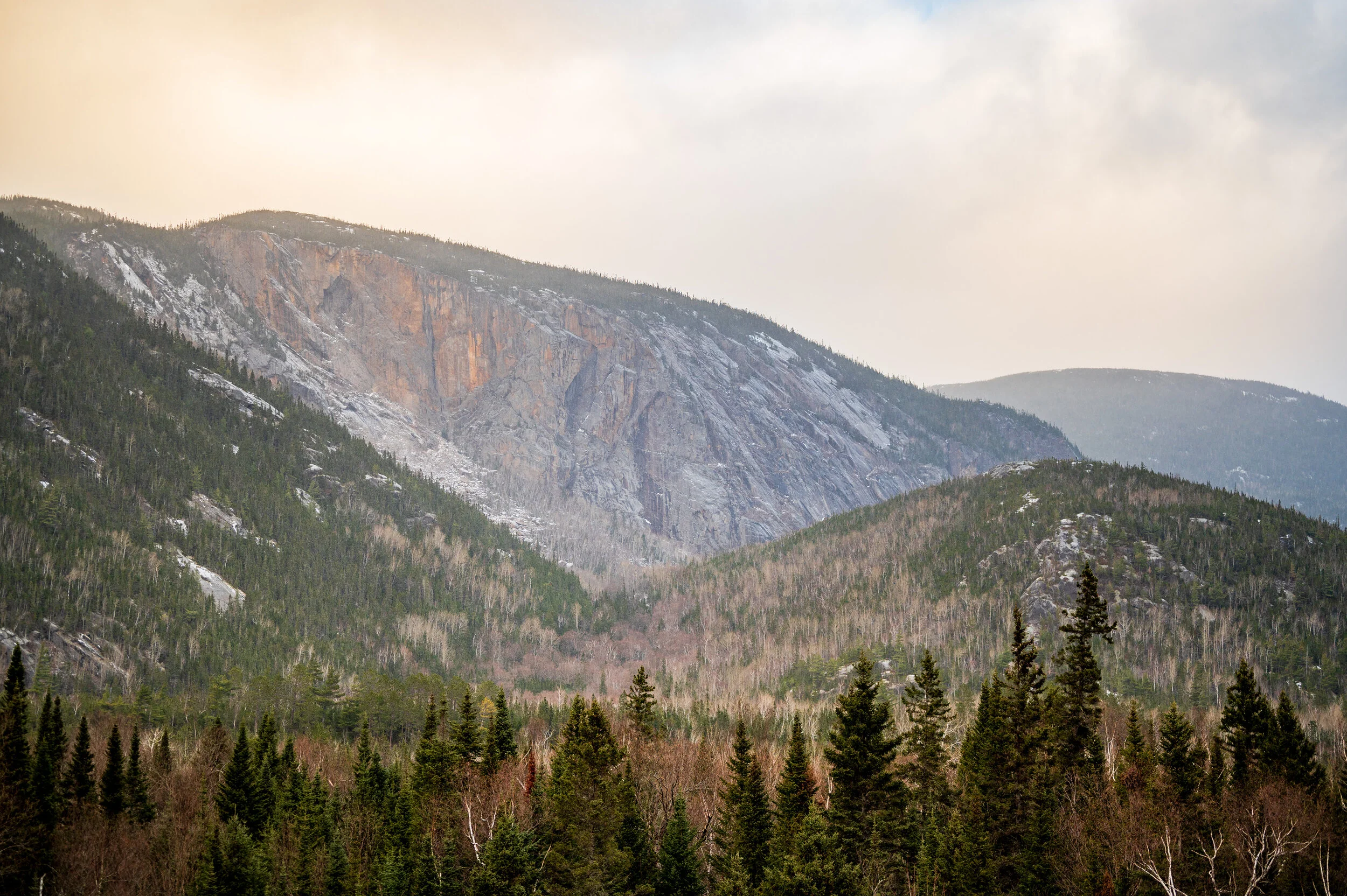 DSC_1385-3.jpg