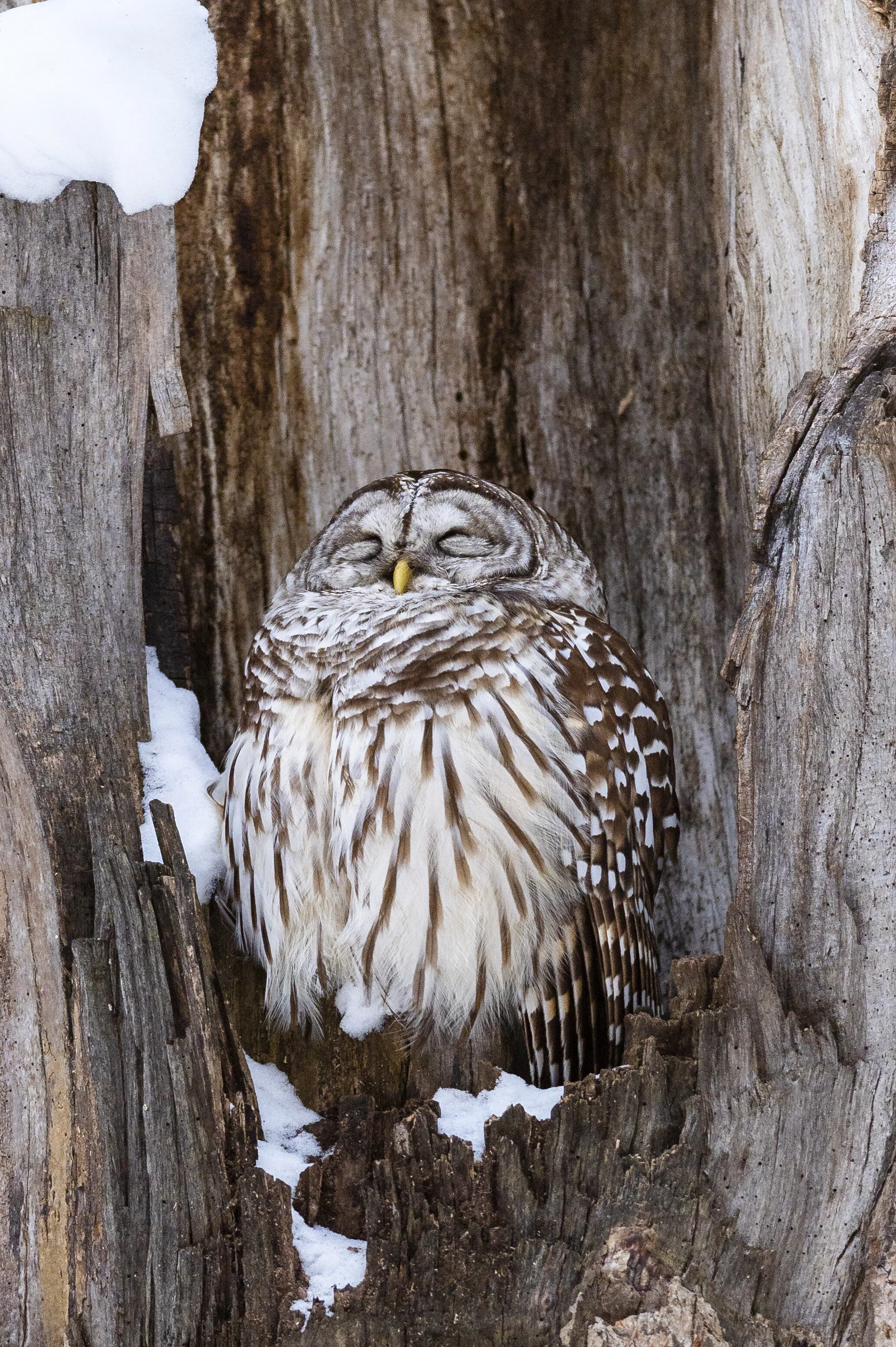 DSC_6316.jpg