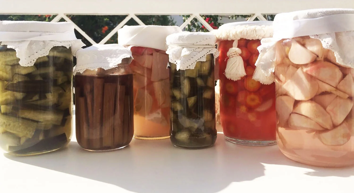 Homemade fermented organic veggies (cucumber, cardoon, fennel, zucchini, carrot, turnip)