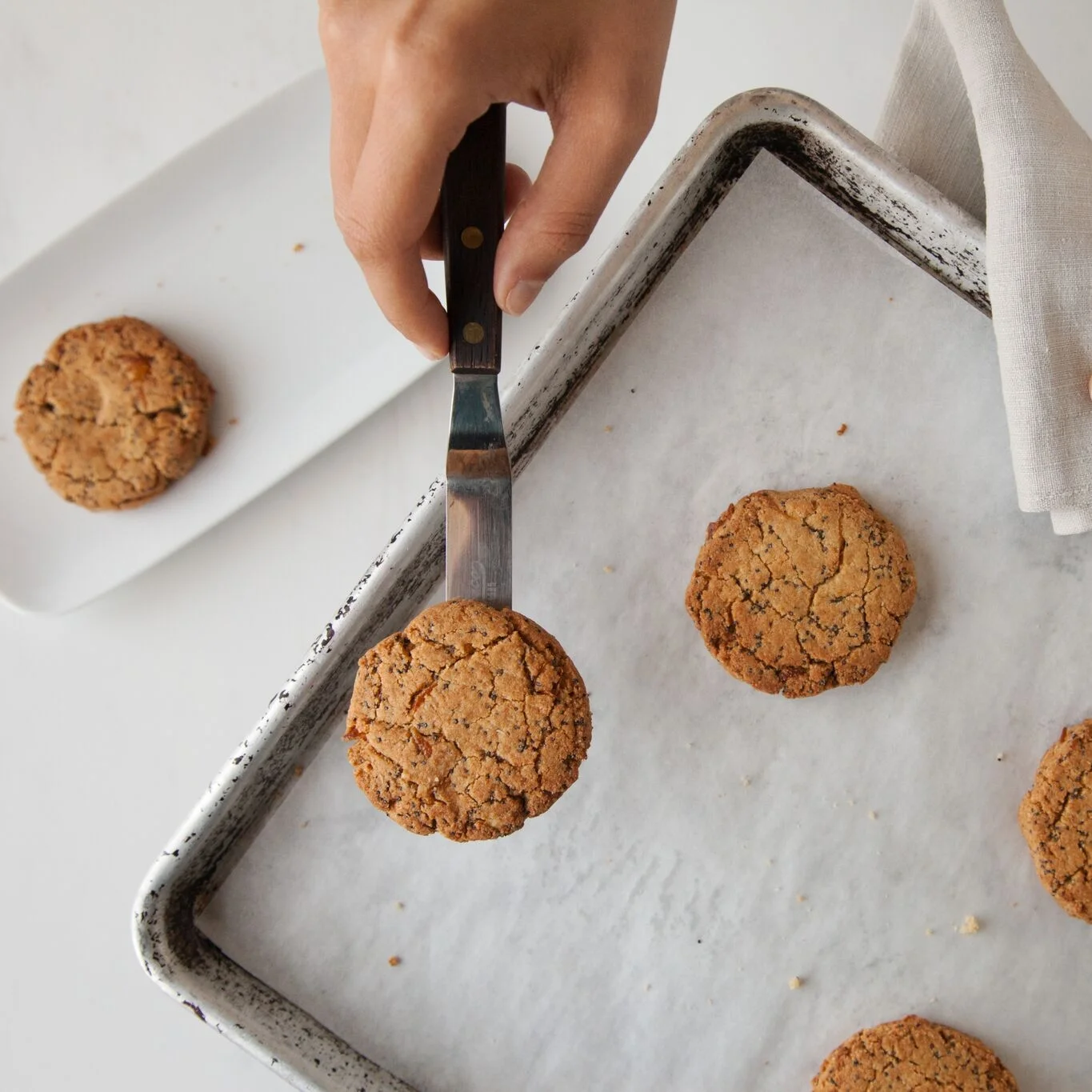 Lemon Poppyseed Cookie_IMG_0299-Edit.jpg