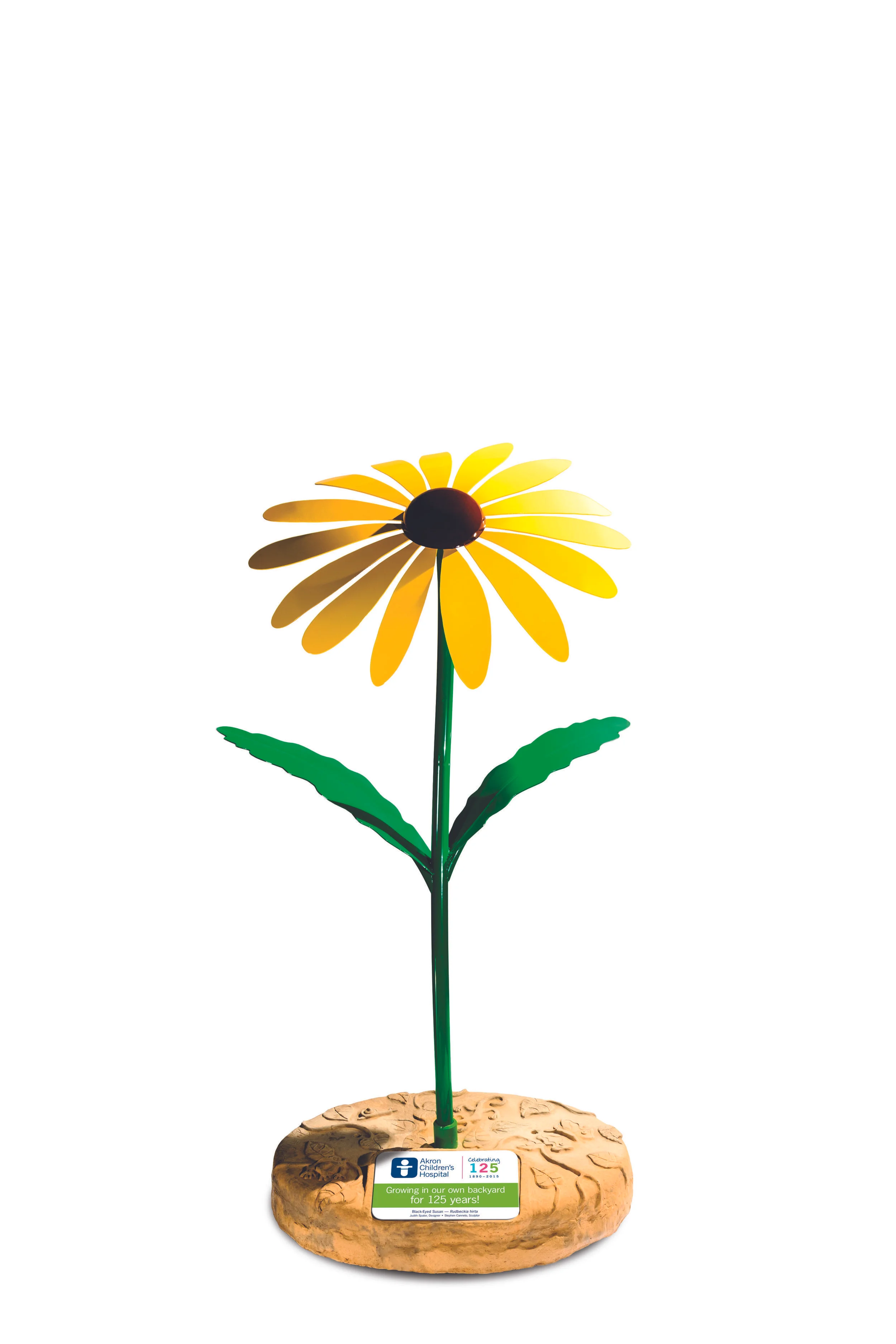 BlkEyeSusan_plaque_4CHR.jpg