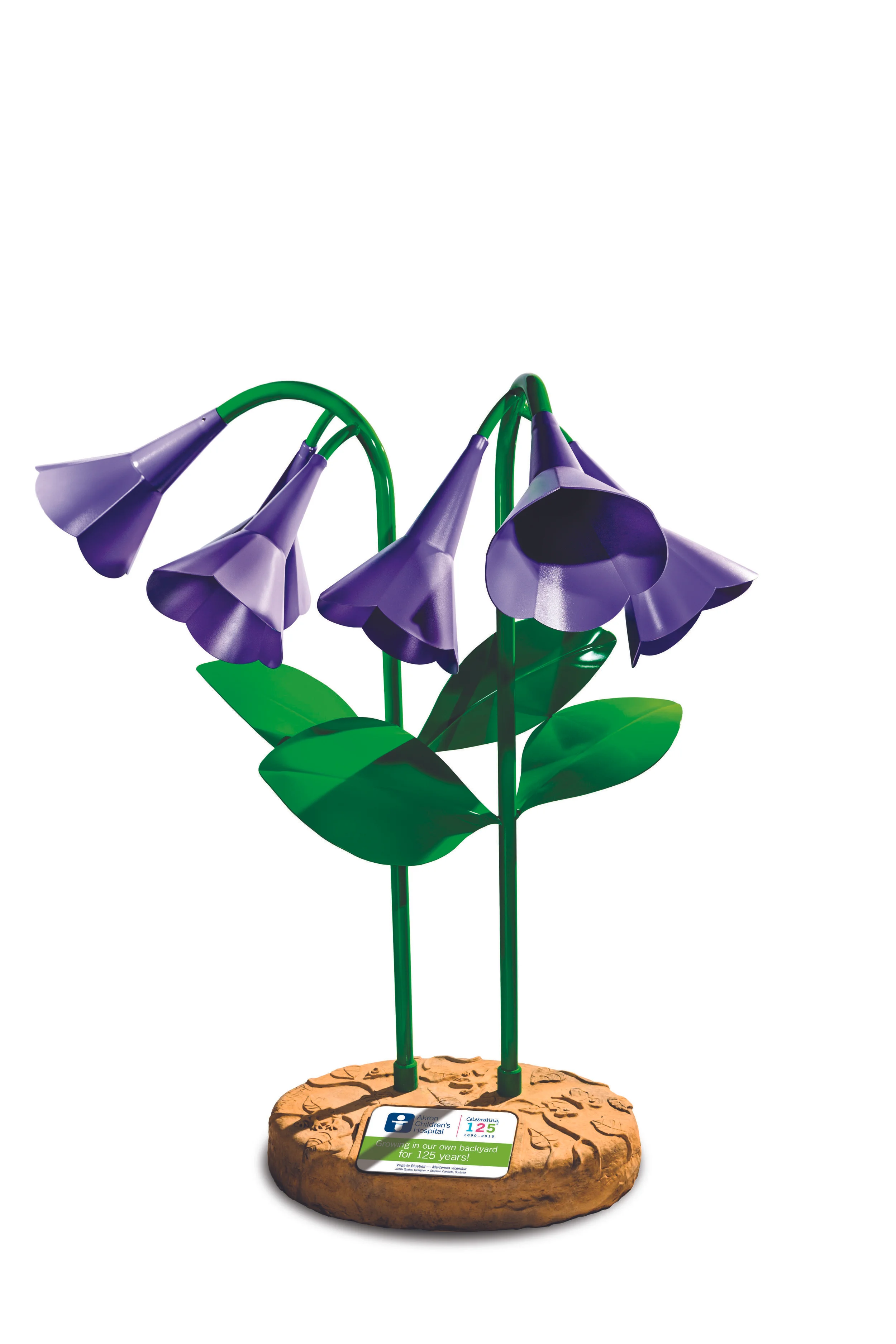 Bluebell_plaque_4CHR.jpg