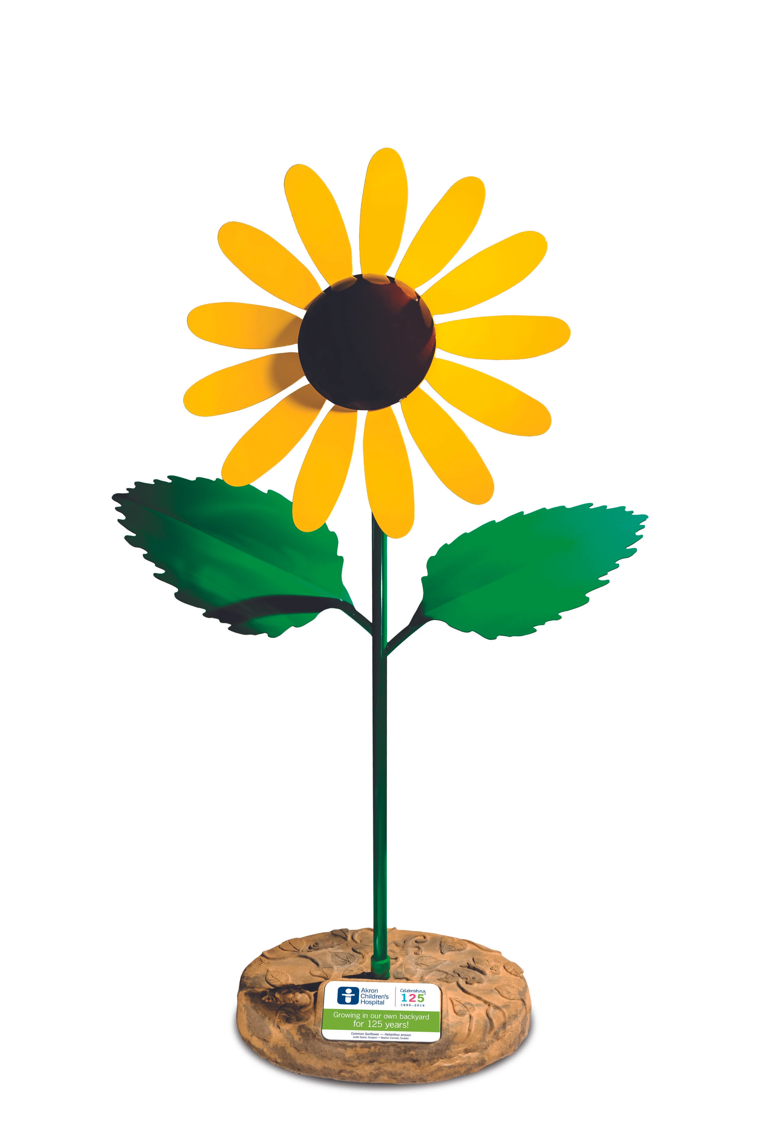 CommonSunflwr_plaque_4CHR.jpg