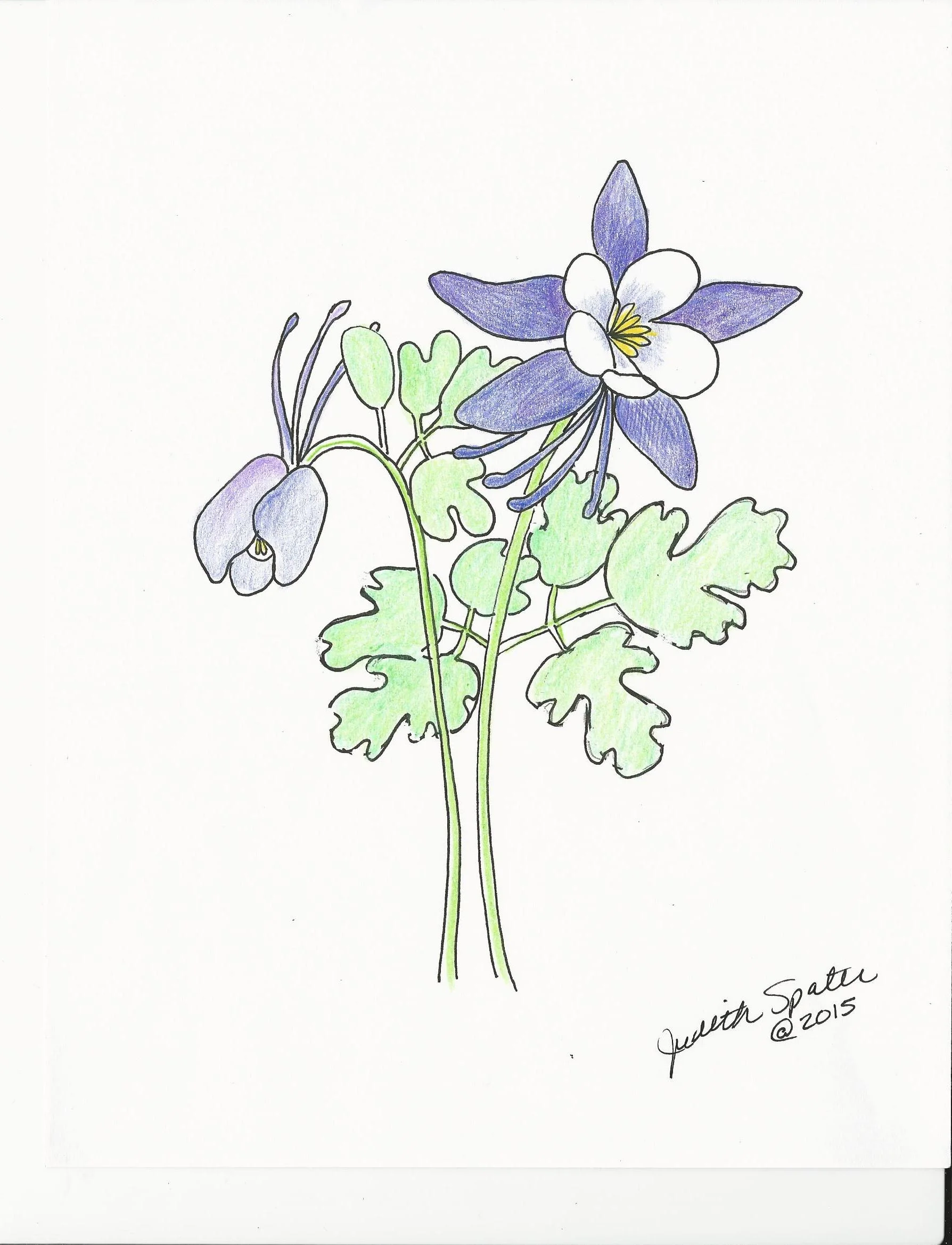 Iris at Art on a Whim Gallery (11).jpg