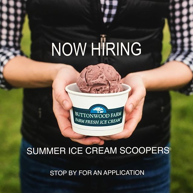 Home from college and looking for a summer job? We're looking for more ice cream scoopers to join our team #buttonwoodfarmicecream #icecream #summer