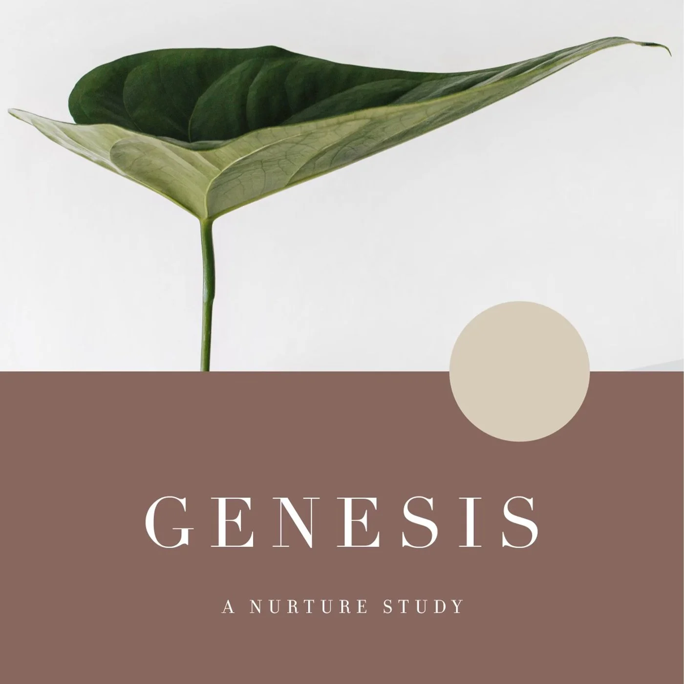 Nurture - Genesis Study Nurture 4.7.22