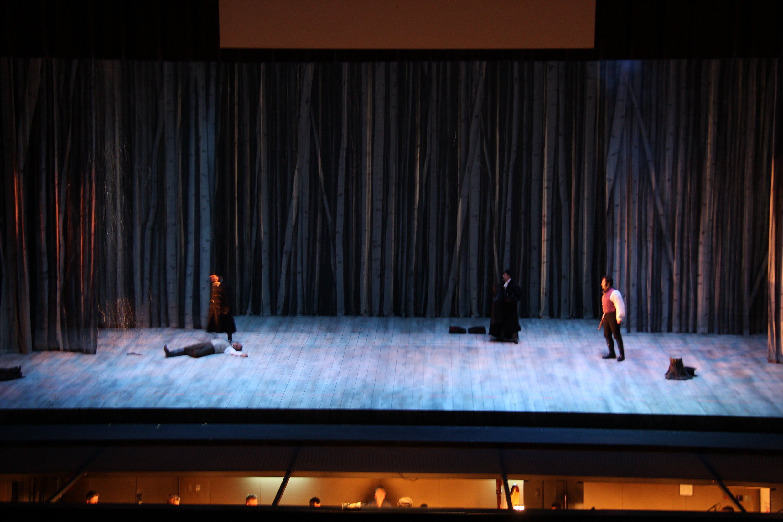 Birch tree sheers.JPG