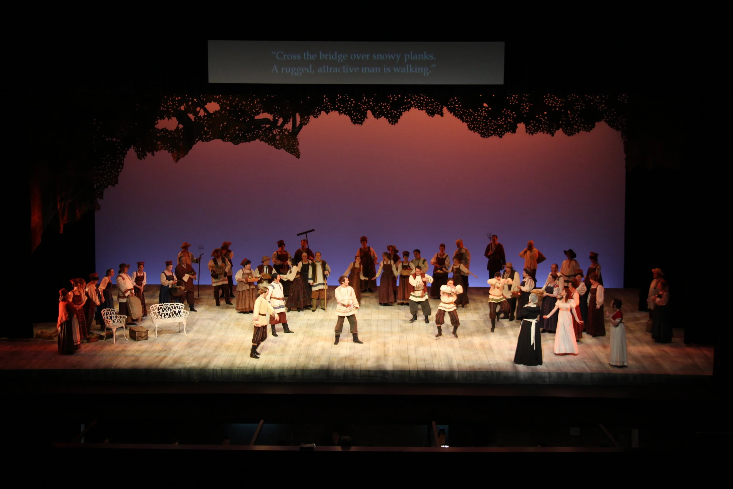 5 Degree Raked Stage — Edmonton Opera