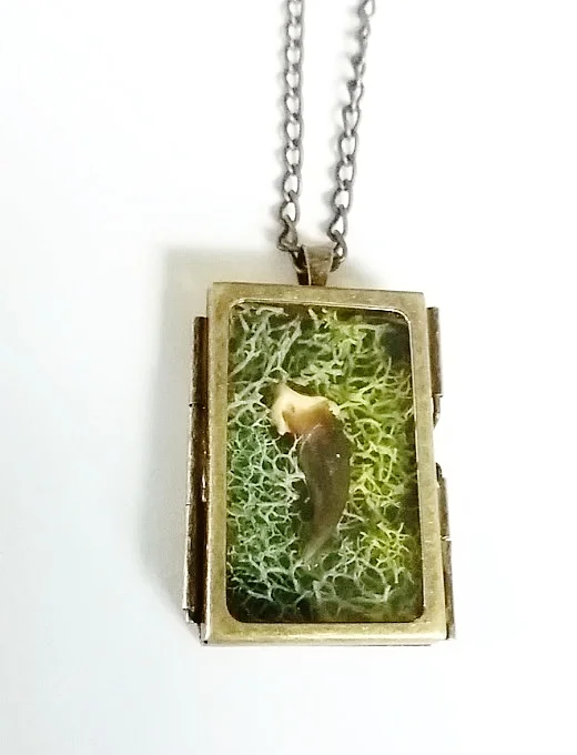 rect coyclaw pendant2.jpg