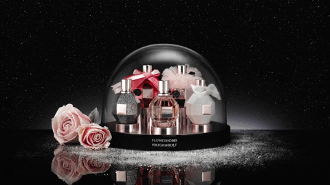Animated GIF-downsized_large.gif