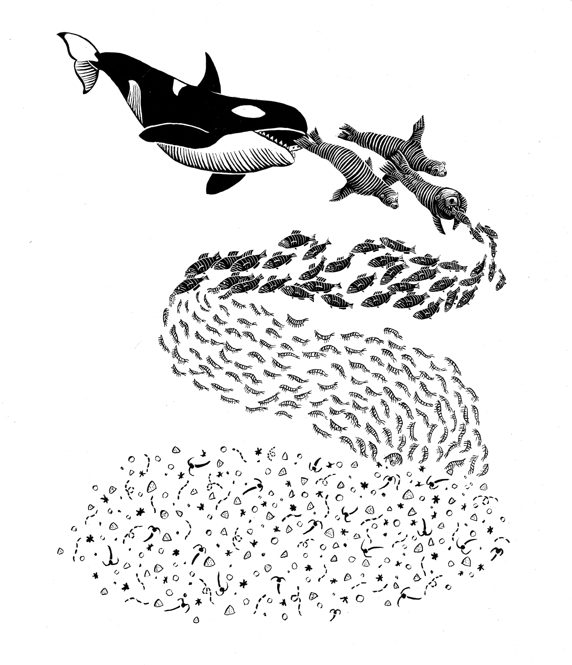 Trophic Pyramid