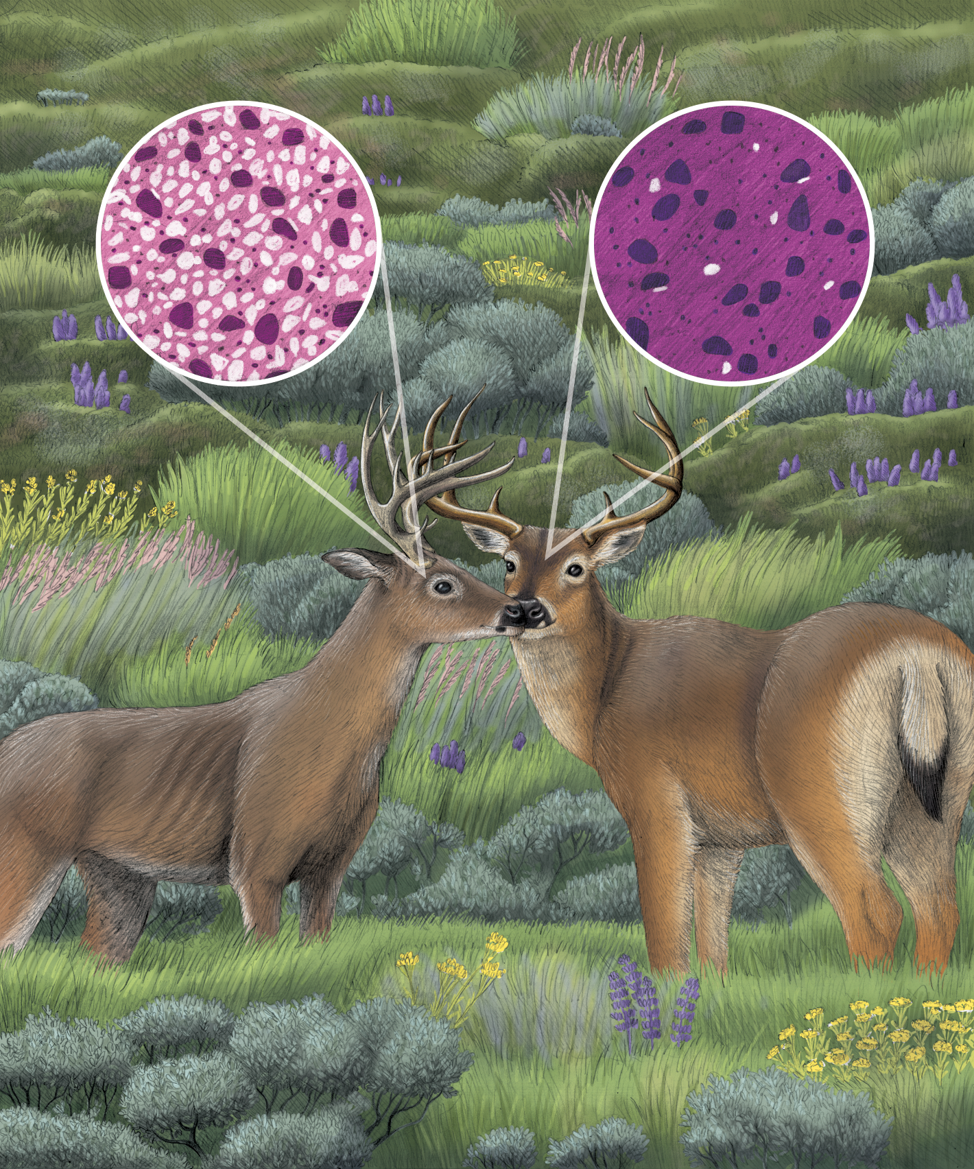 Screen+Shot+2023-03-17+at+1.47.56+PM.png?format=2500w