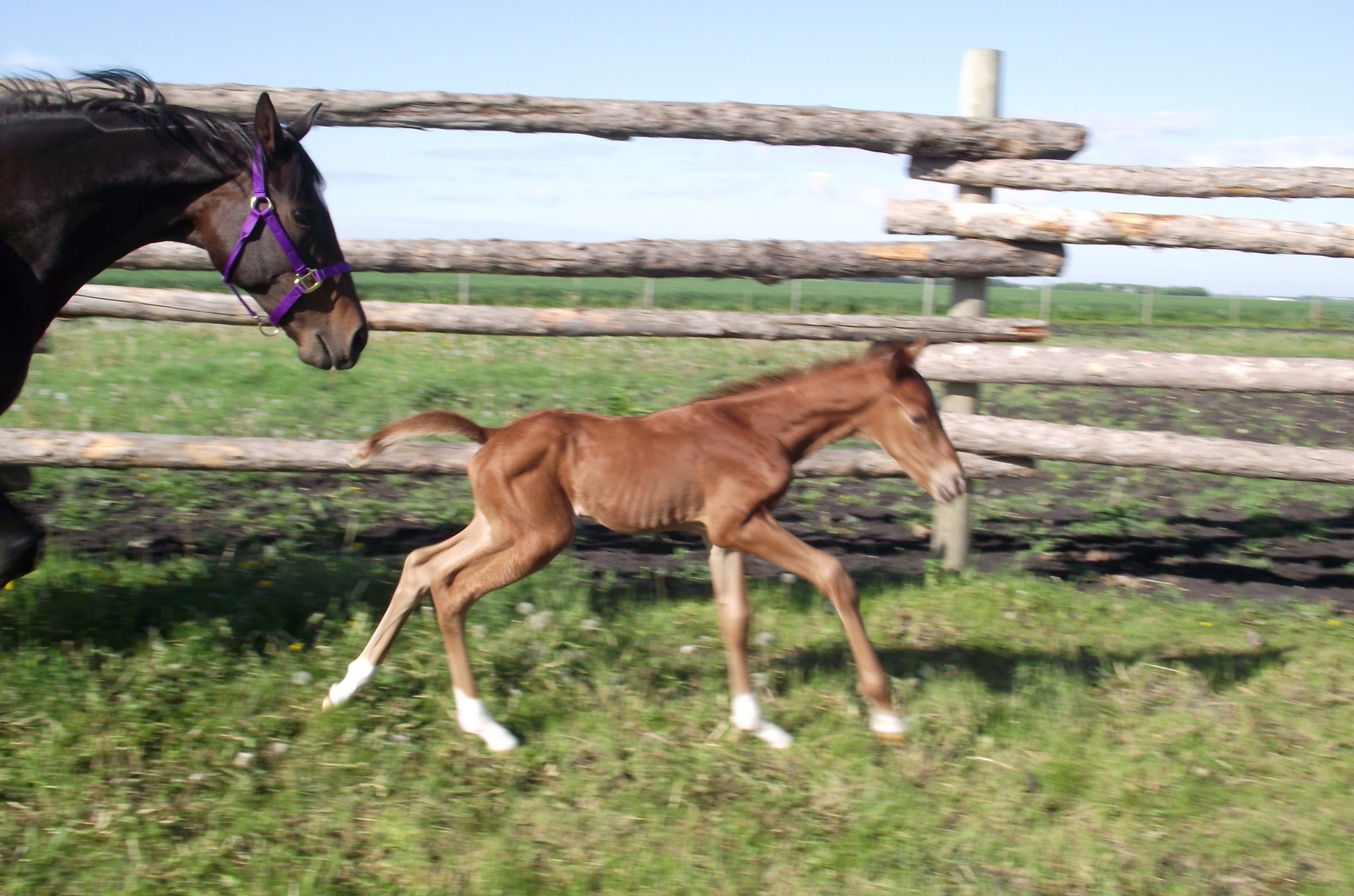 First play outside