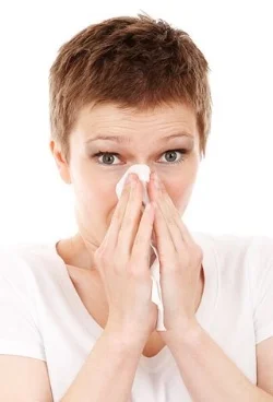 allergy-18656__480.jpg