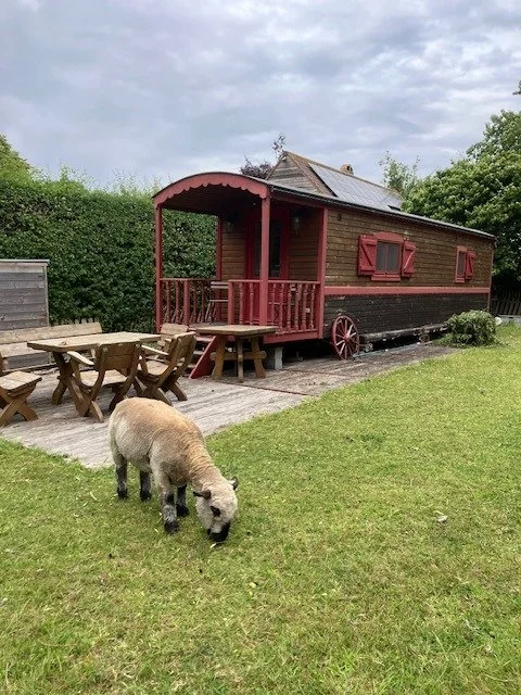 WhatsApp Image 2025-10-31 at 18.24.59.jpeg