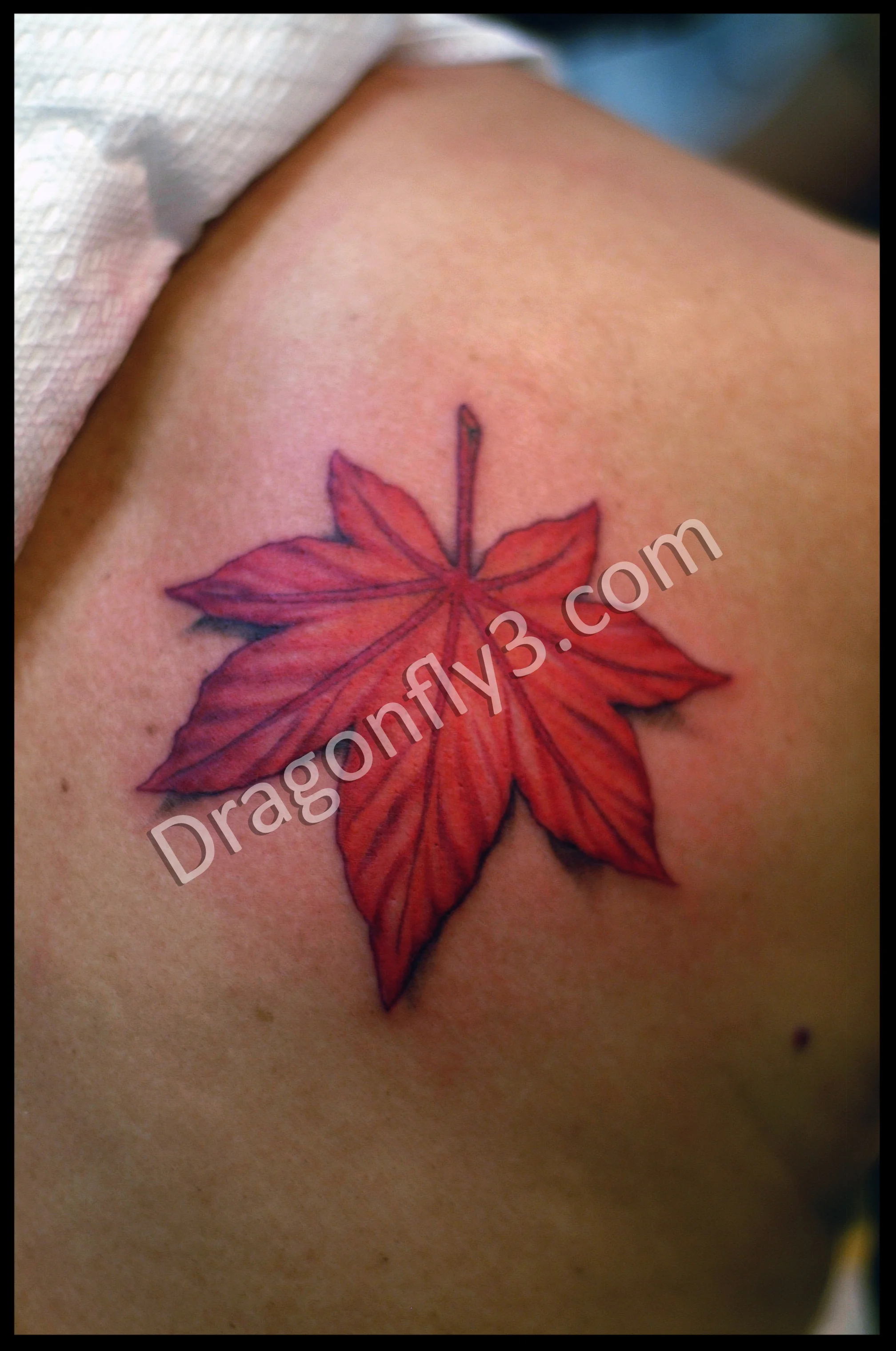  3d maple leaf tattoo 