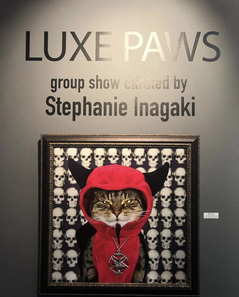 Copro Gallery Art Adoption Event benefitting Luxe Paws Emergency Medical 
