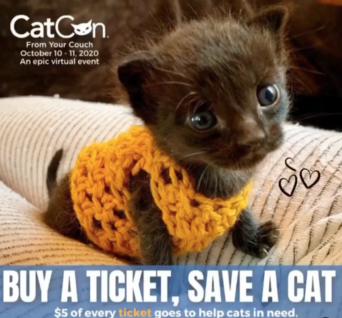 CatCon 2020 From Your Couch - Virtual Event