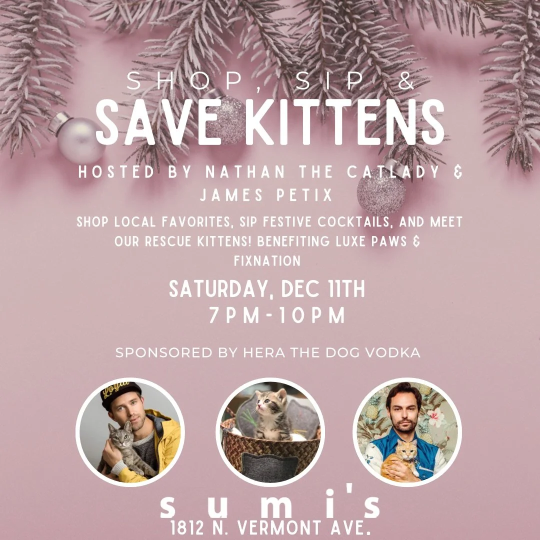 Shop, Sip &amp; Save Kittens at Sumi's Los Feliz