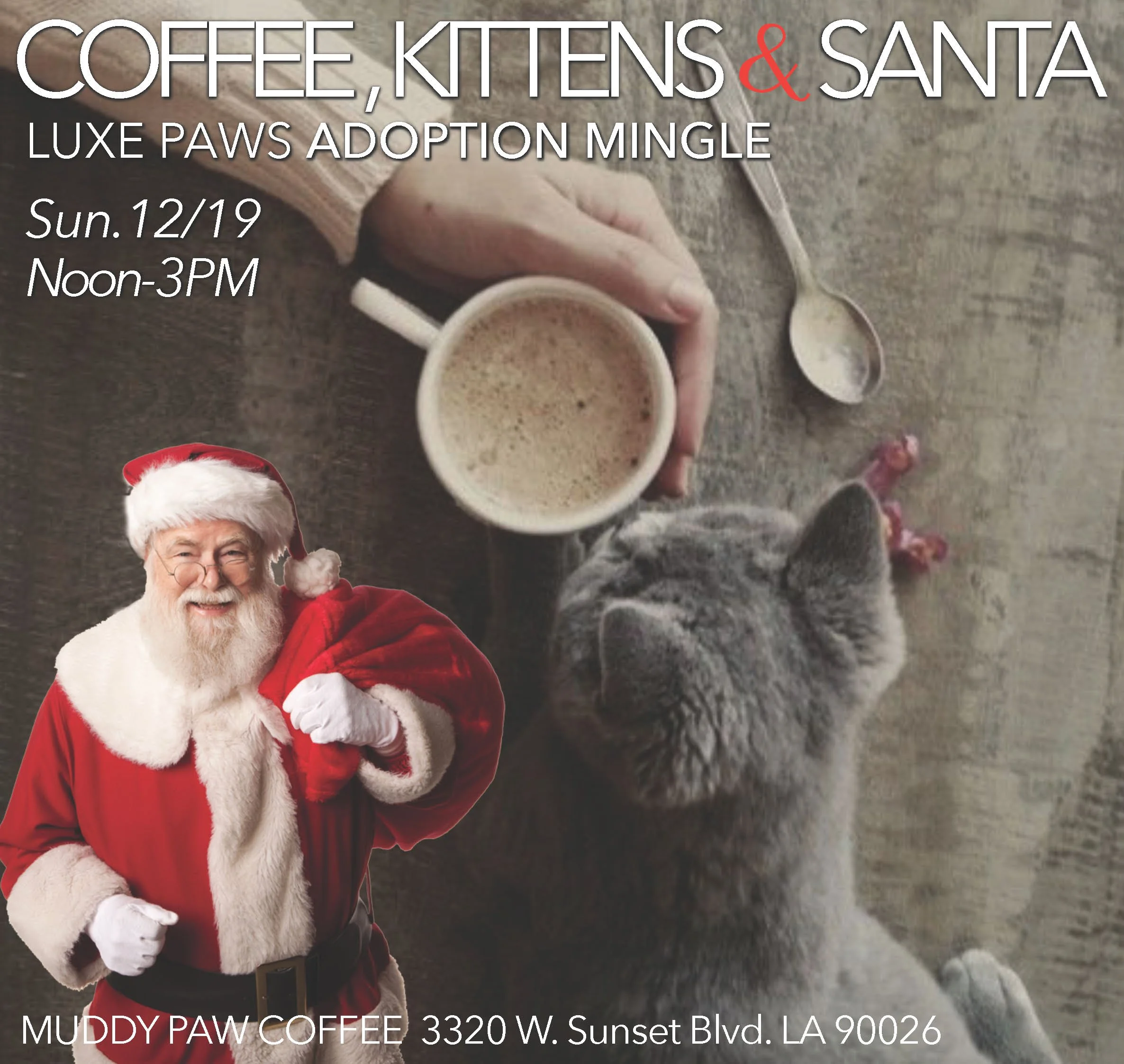 Coffee, Kittens &amp; Santa Adoption Mingle
