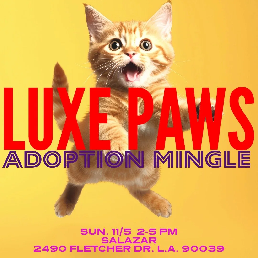 Adoption Mingle