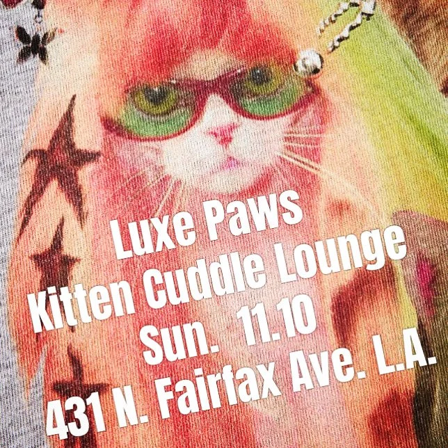 Ssstufff Official L.A. Pop-up Kitten Mingle
