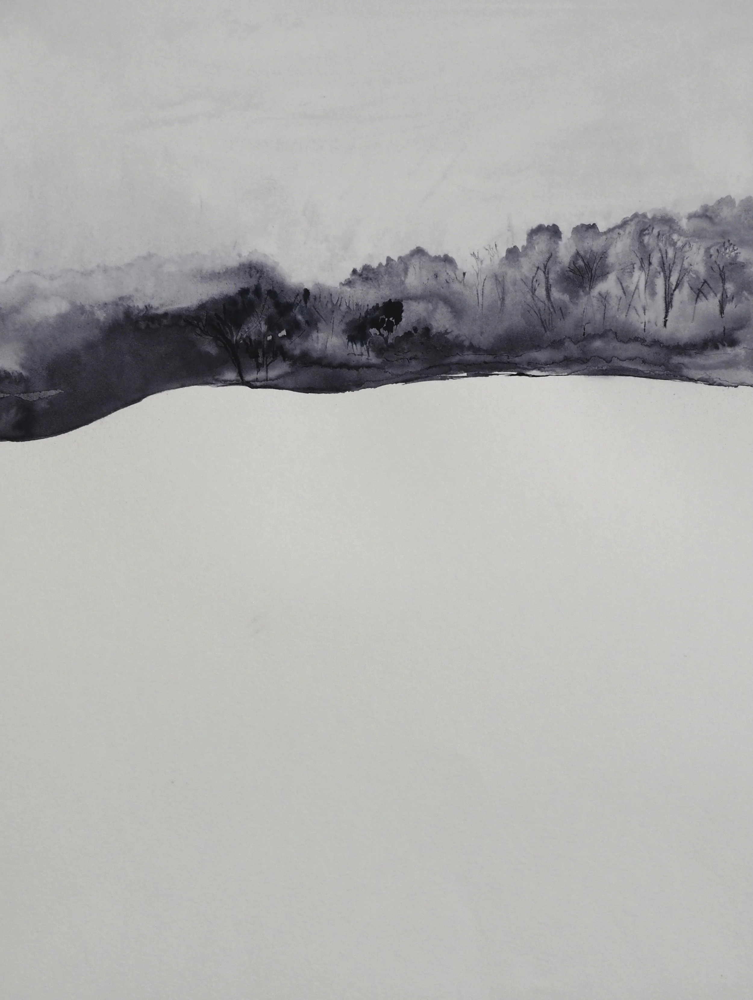Shadowlands V