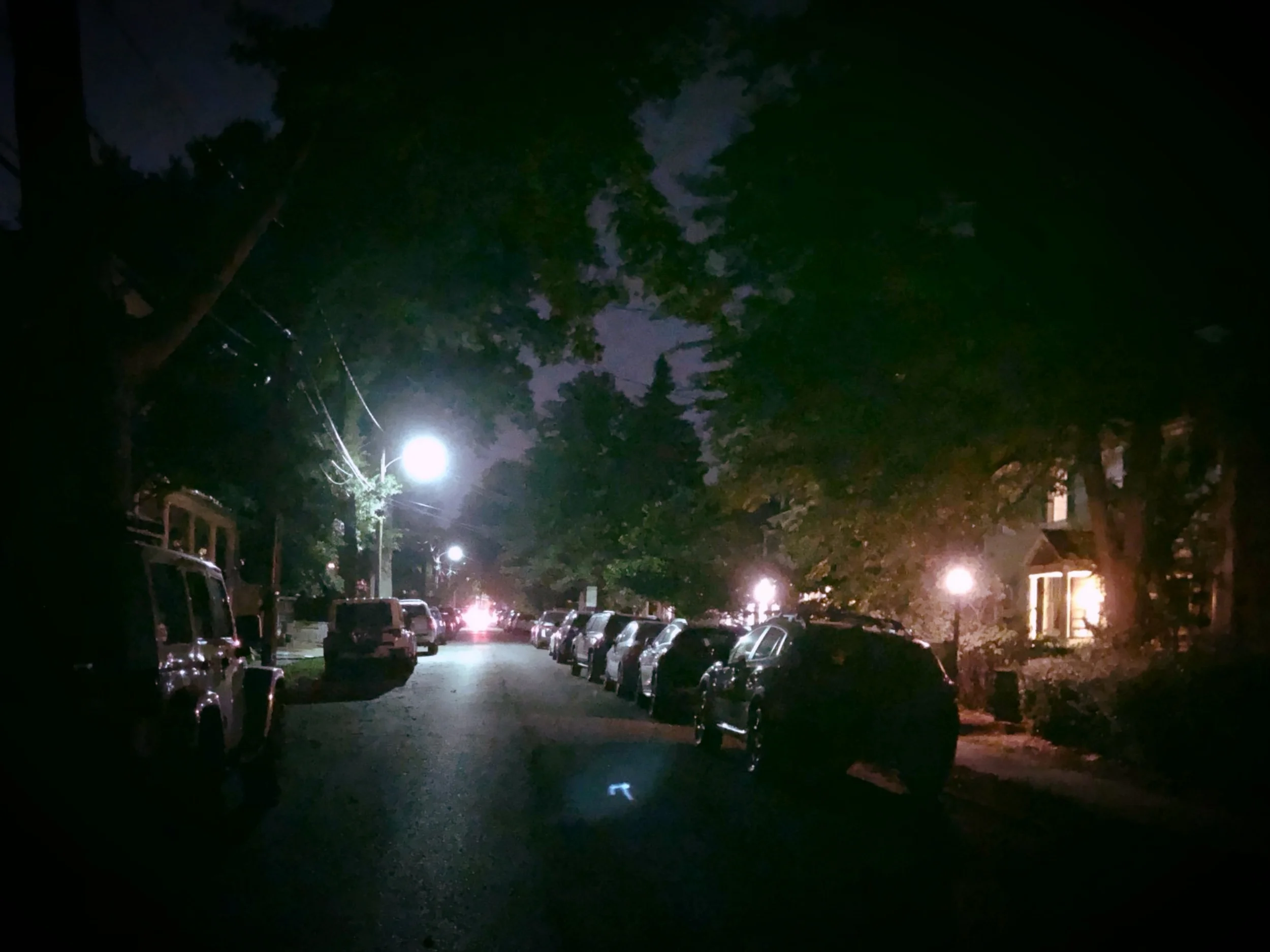 The Loop / July 17, 2018