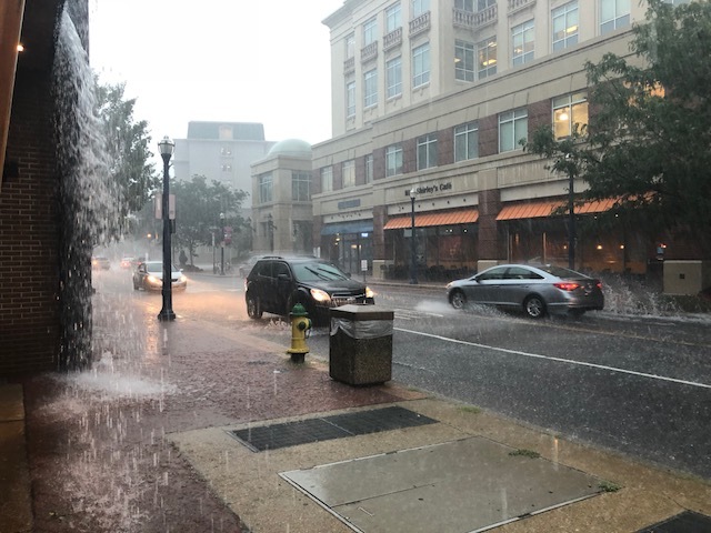 The Loop / August 7, 2018