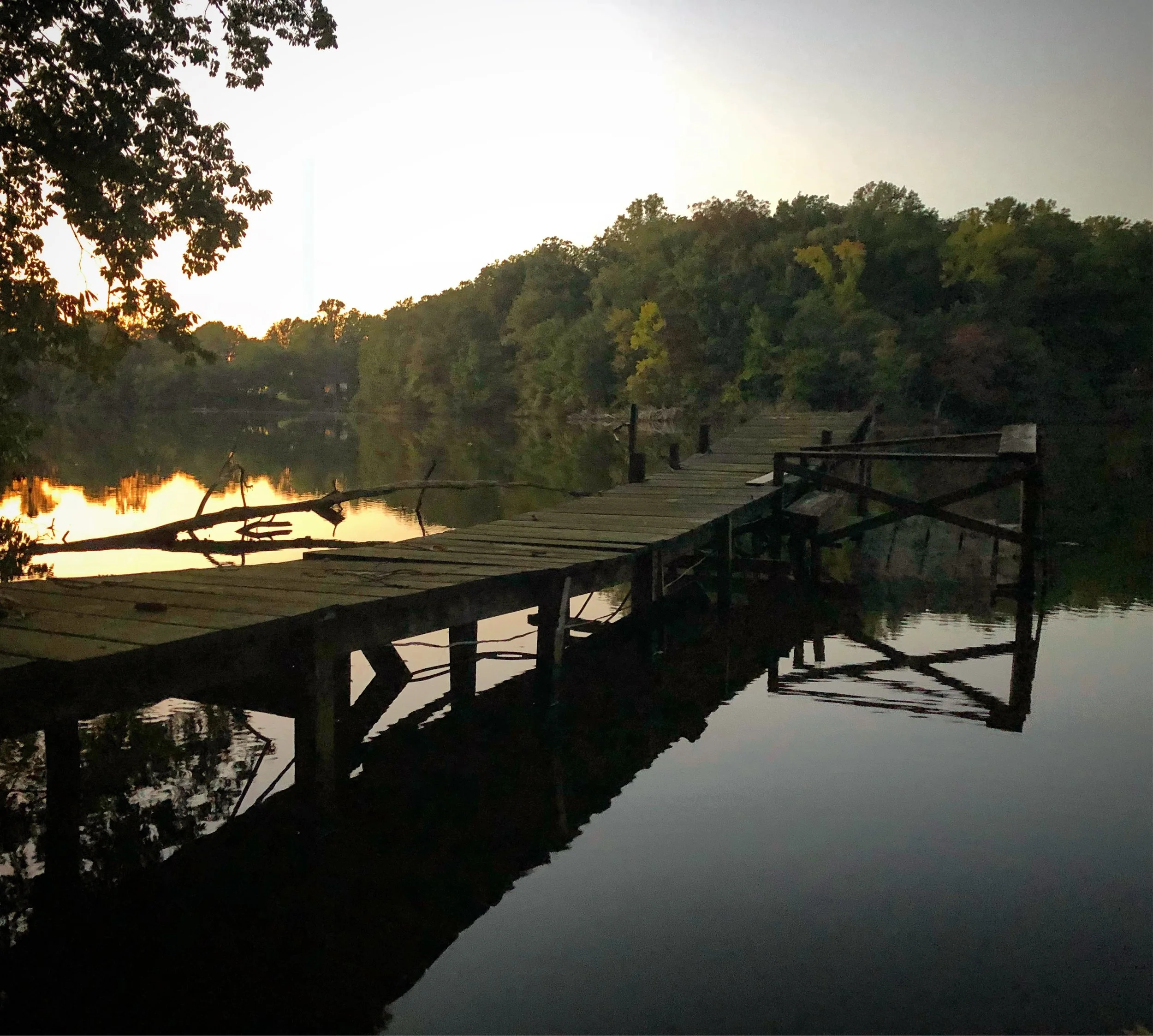 The Loop / October 2, 2018