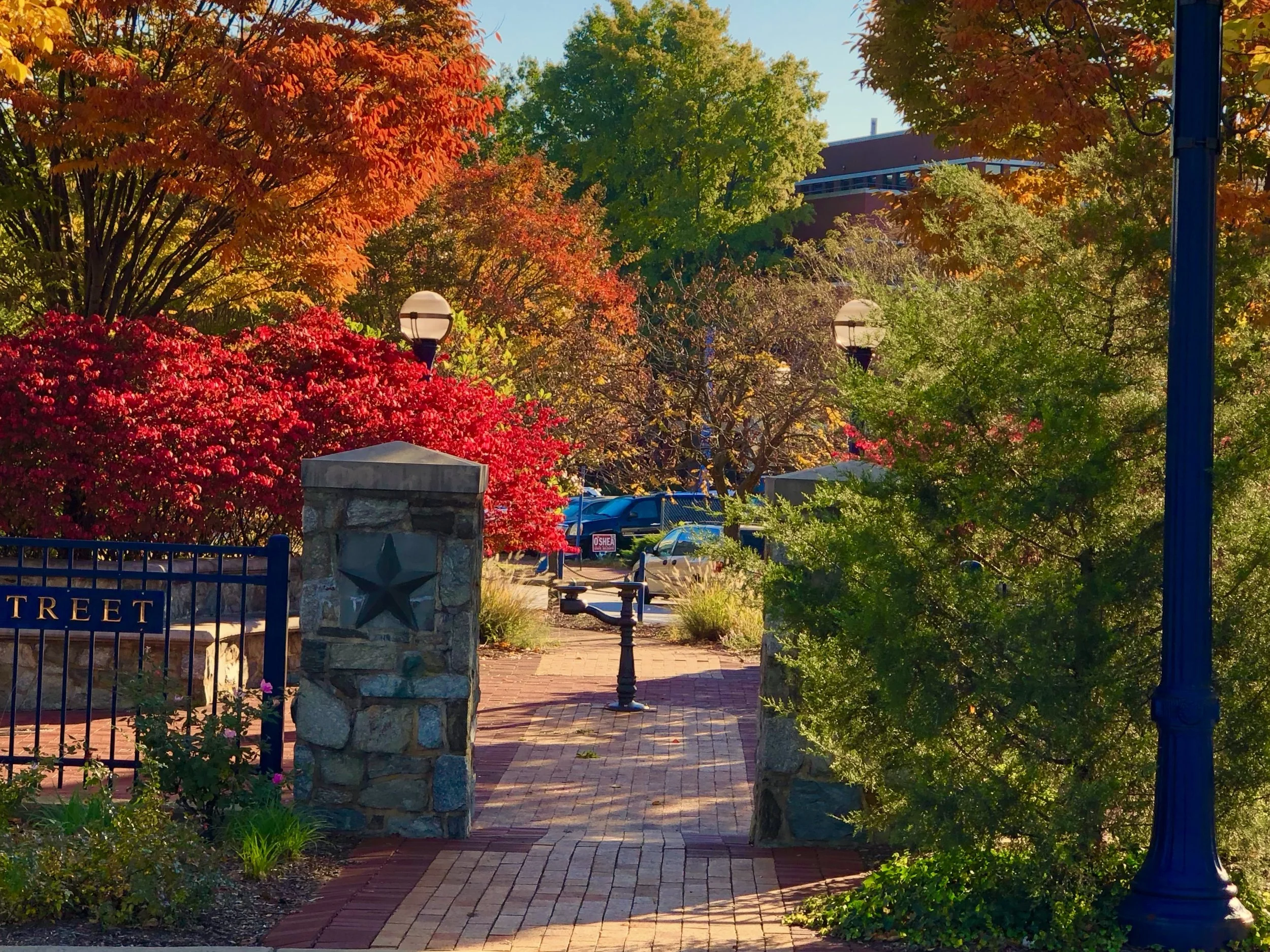 The Loop / October 30, 2018
