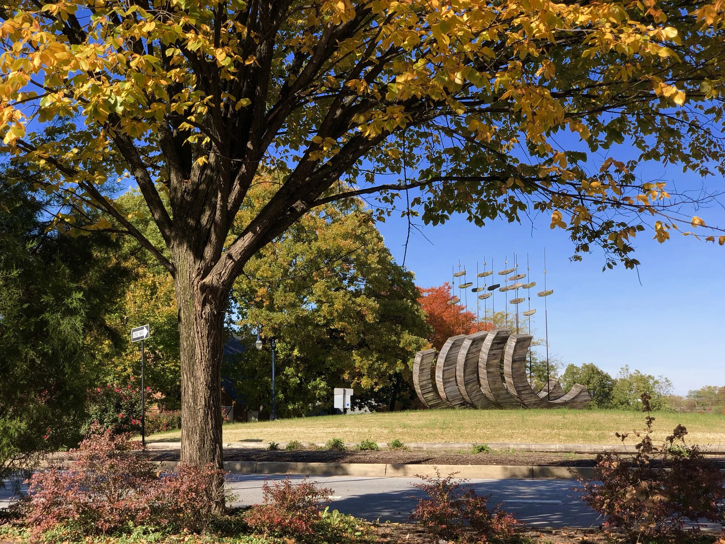 The Loop / November 20, 2018