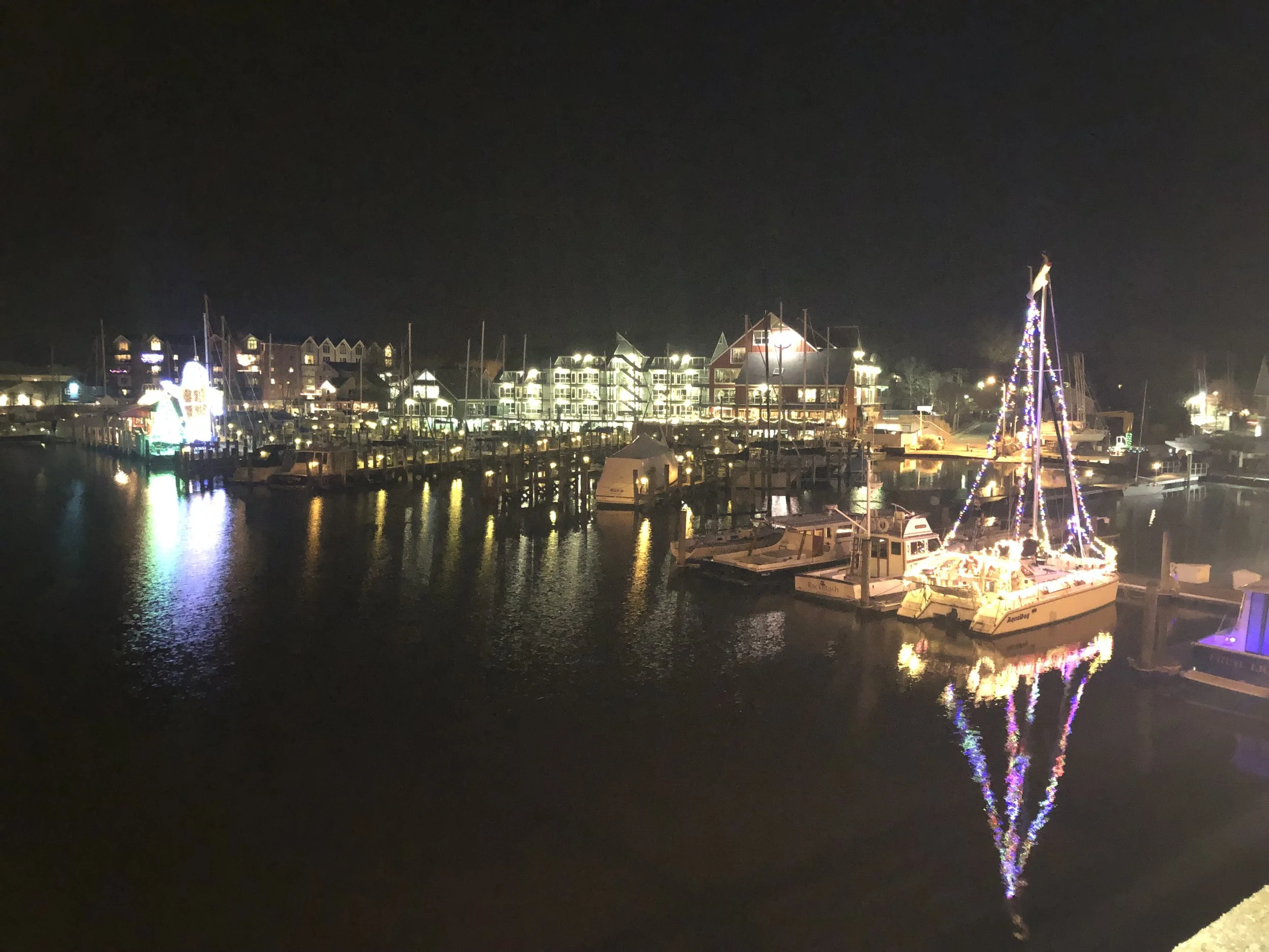 The Loop / December 11, 2018