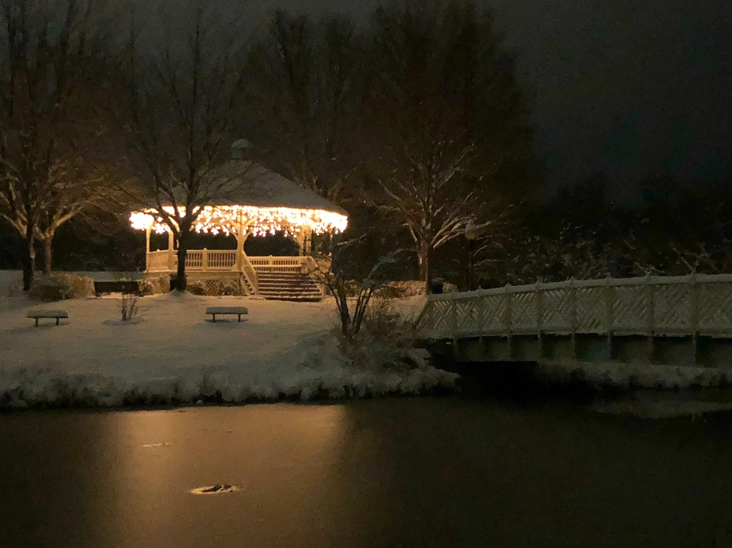 The Loop / January 15, 2019