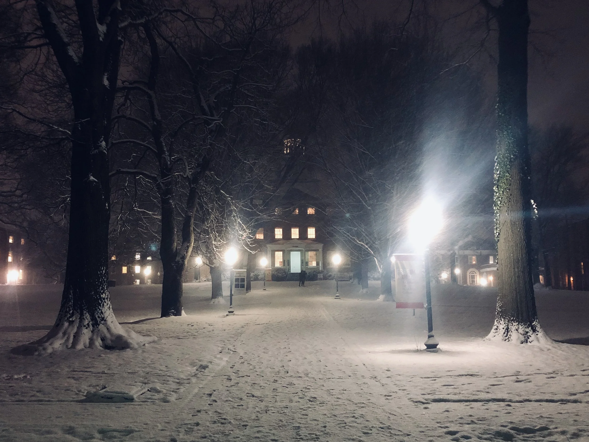 The Loop / January 22, 2019