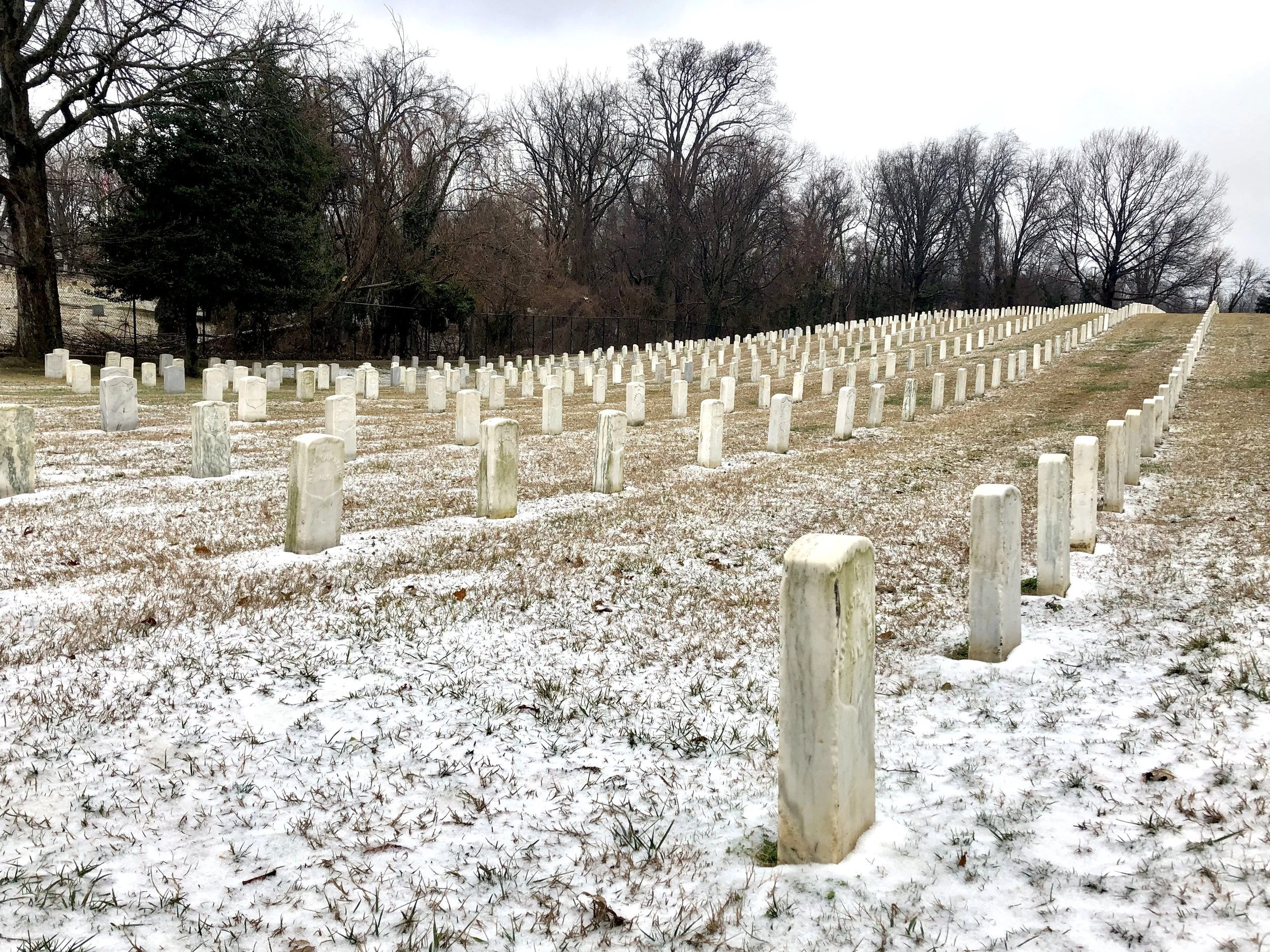 The Loop / February 12, 2019