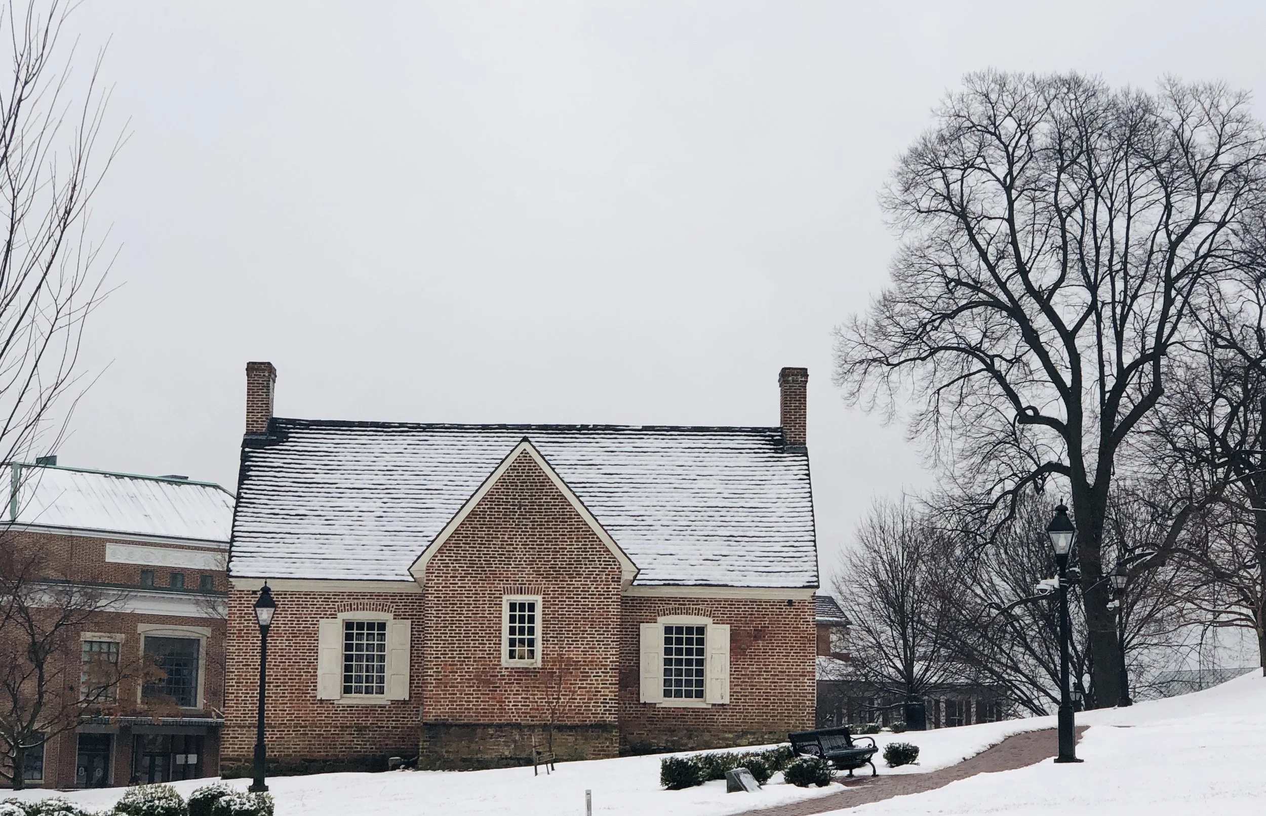 The Loop / February 26, 2019